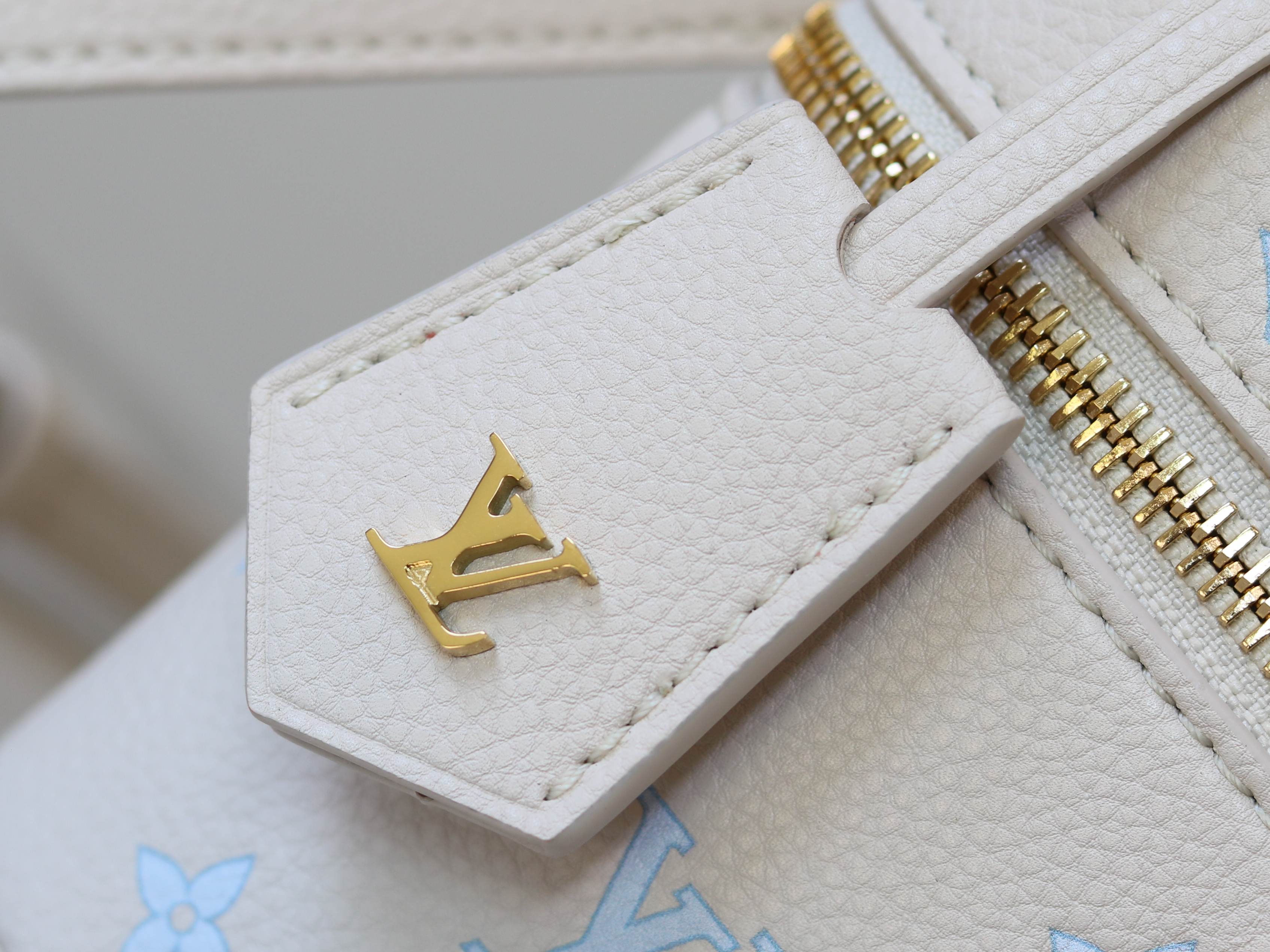 Louis Vuitton Basic Bag M-l