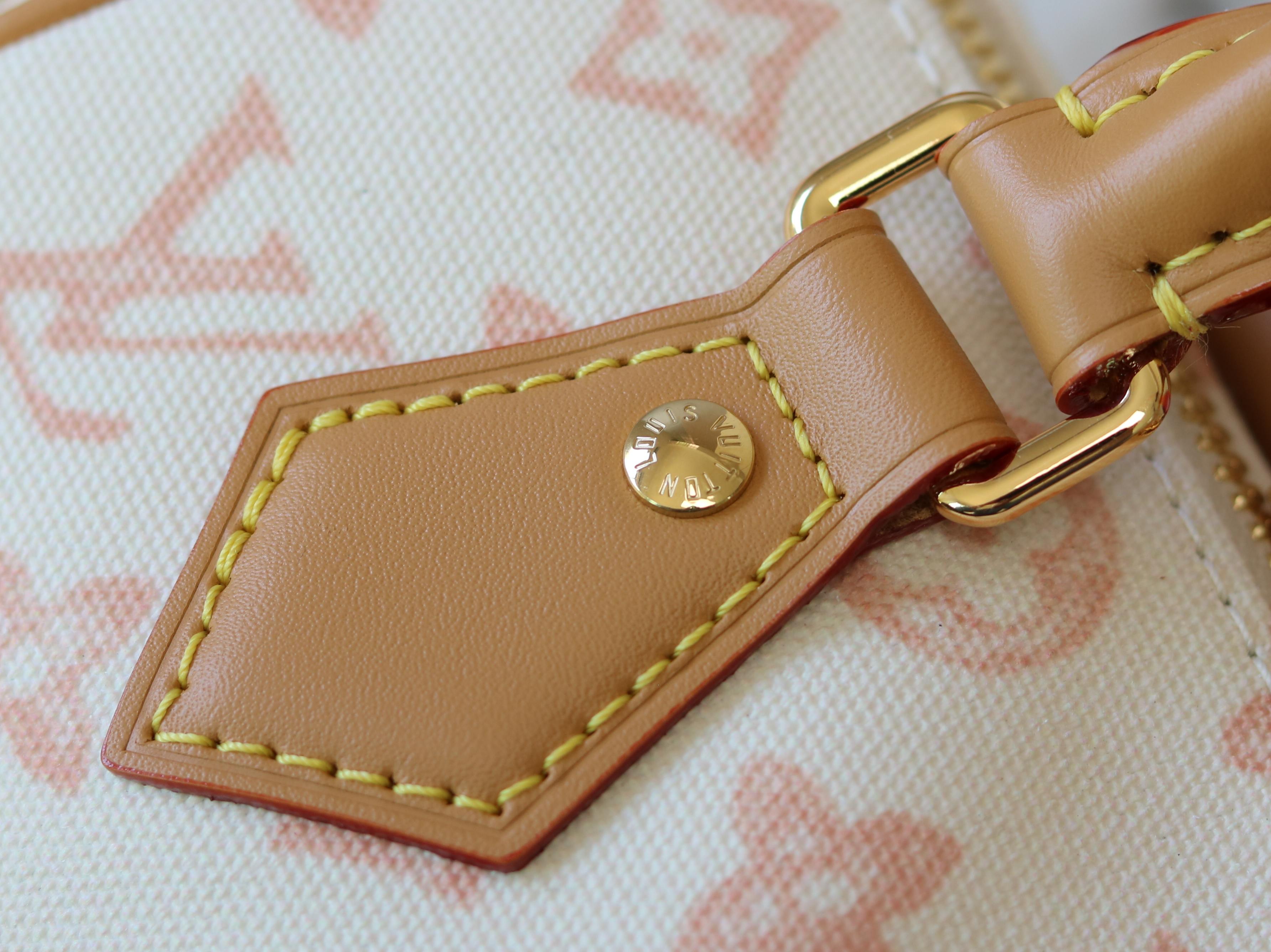 Louis Vuitton Basic Bag Cow Leather M-l-s