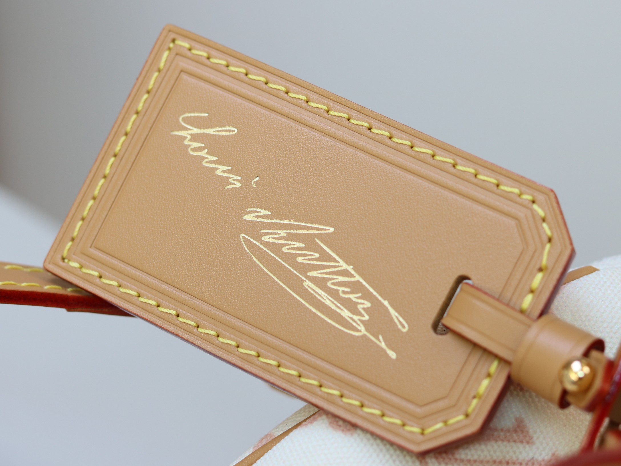 Louis Vuitton Basic Bag Cow Leather M-l-s