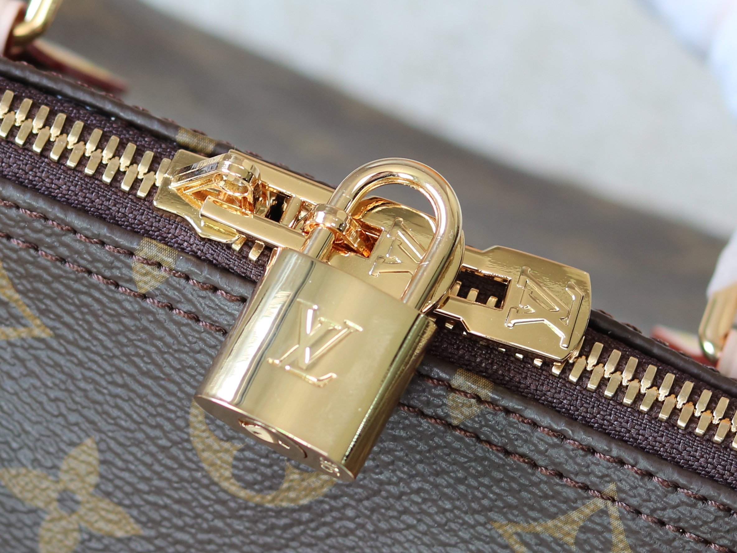 Louis Vuitton Basic Bag Canvas M-l-s