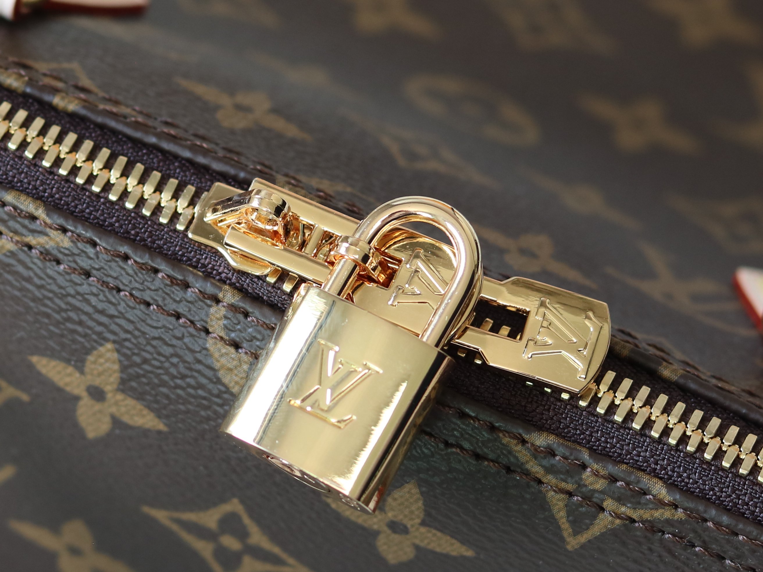 Louis Vuitton Basic Bag Canvas M-l-s