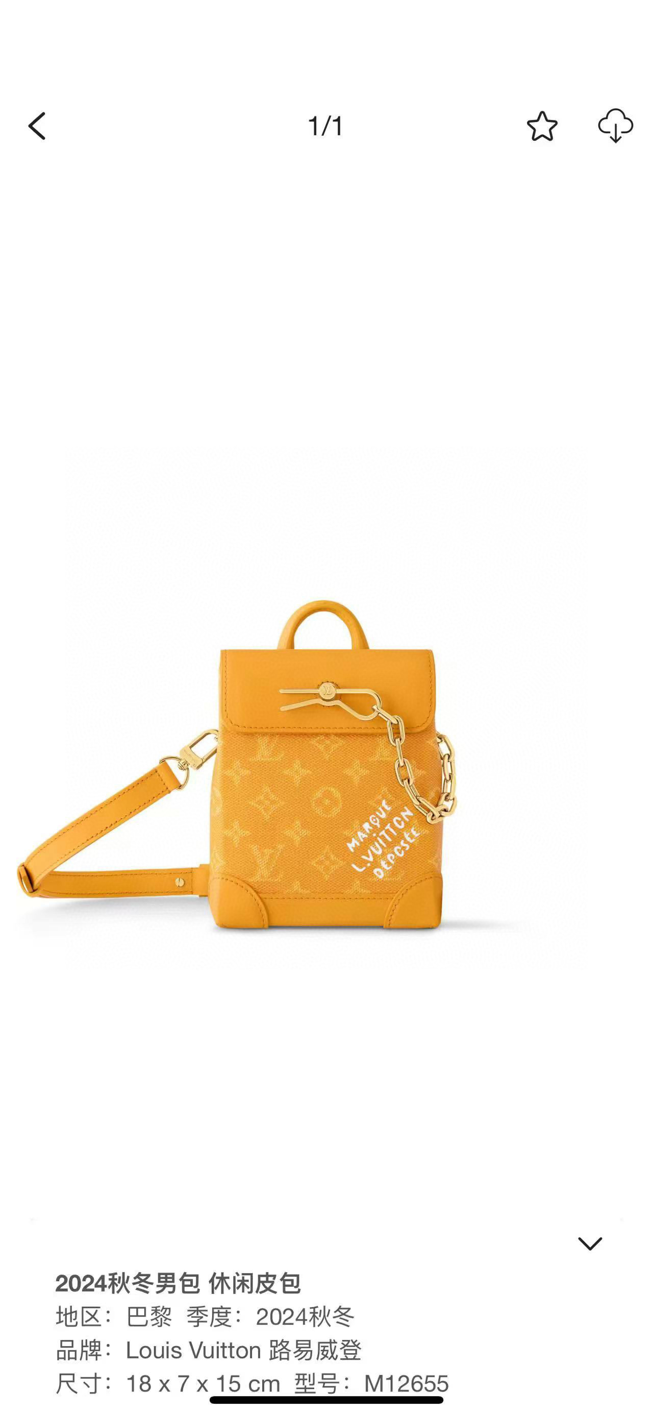 Louis Vuitton Basic Bag Canvas M-l-s