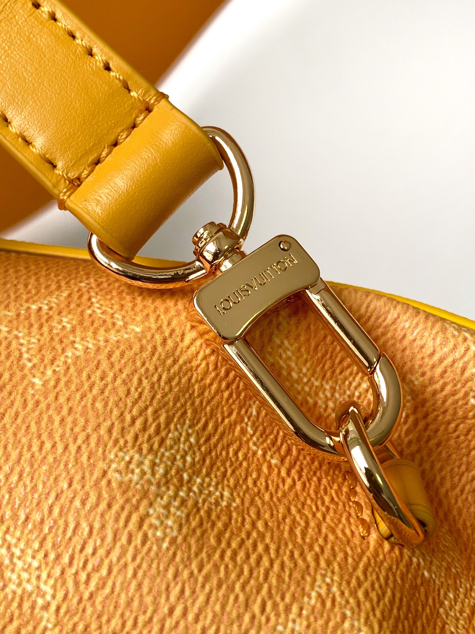 Louis Vuitton Basic Bag Canvas M-l-s