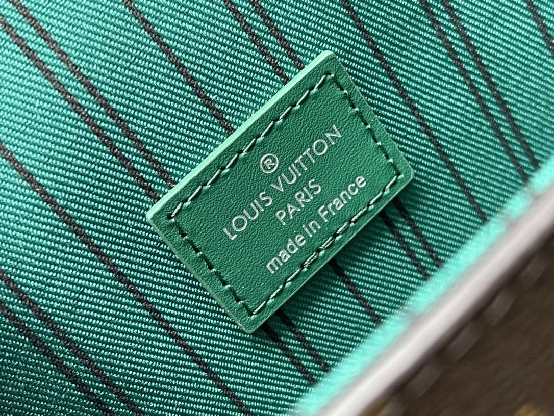 Louis Vuitton Basic Bag Canvas M-s