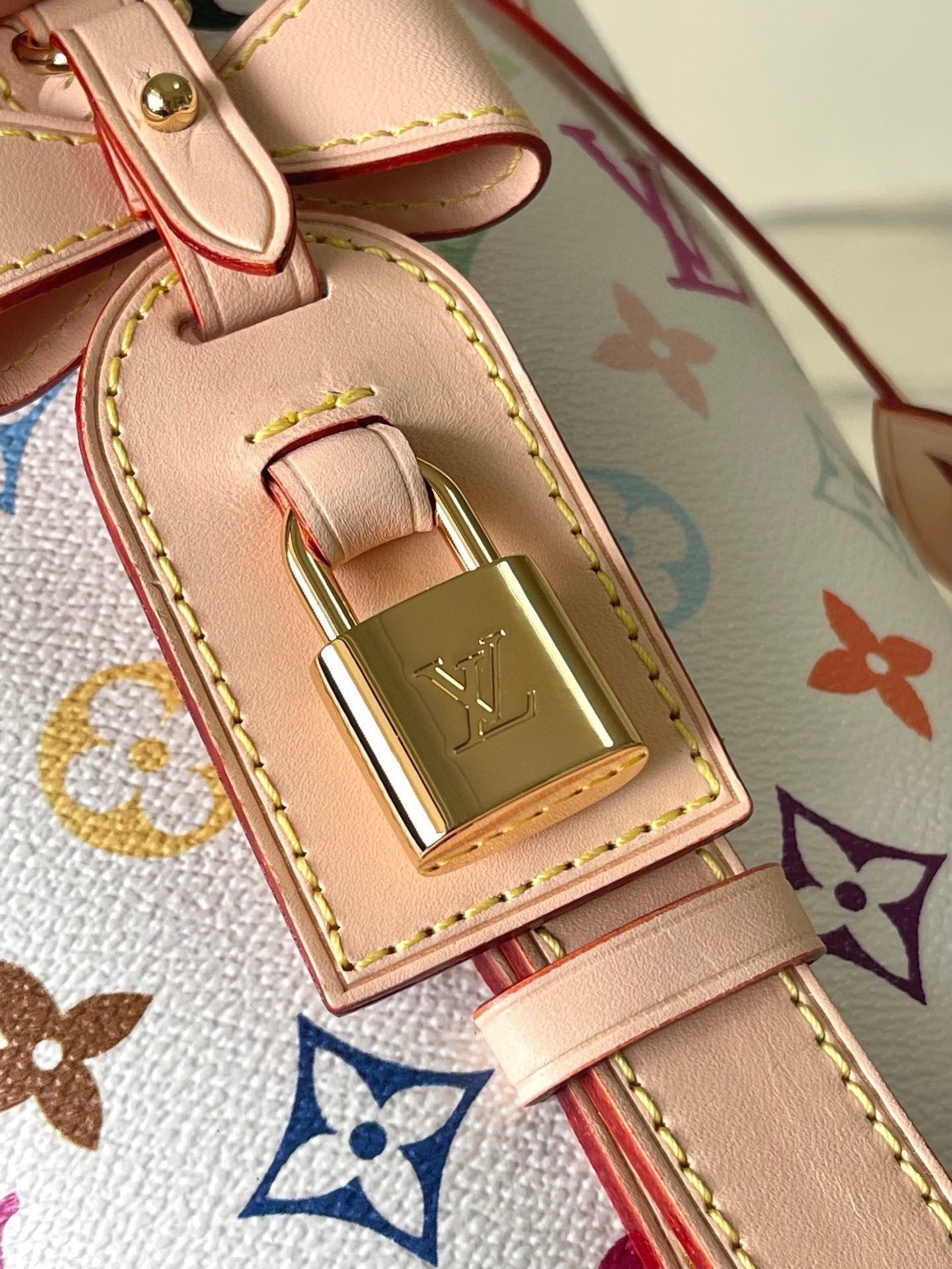 Louis Vuitton Basic Bag Cow Leather M-l