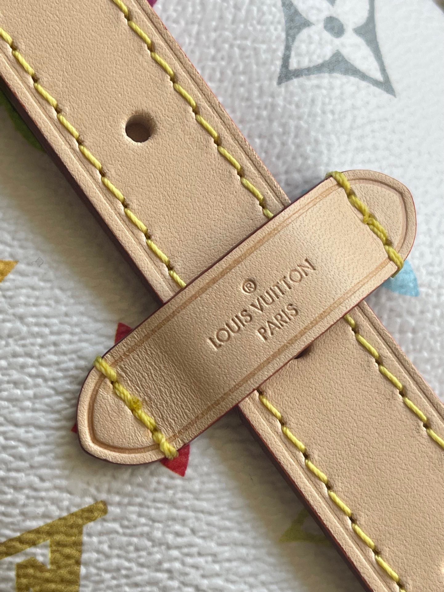 Louis Vuitton Basic Bag Cow Leather M-l