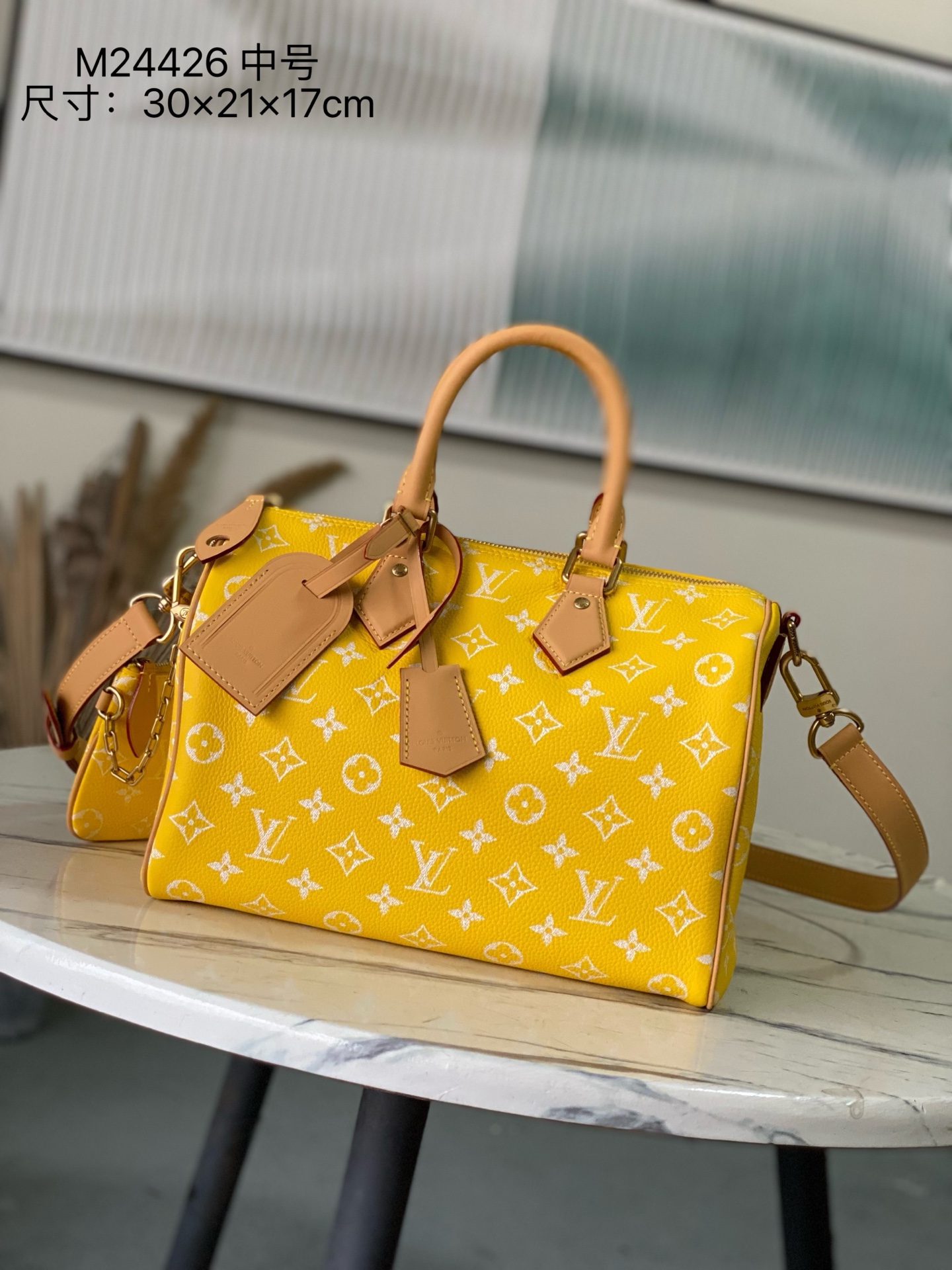 Louis Vuitton Basic Bag Cow Leather M-l-s