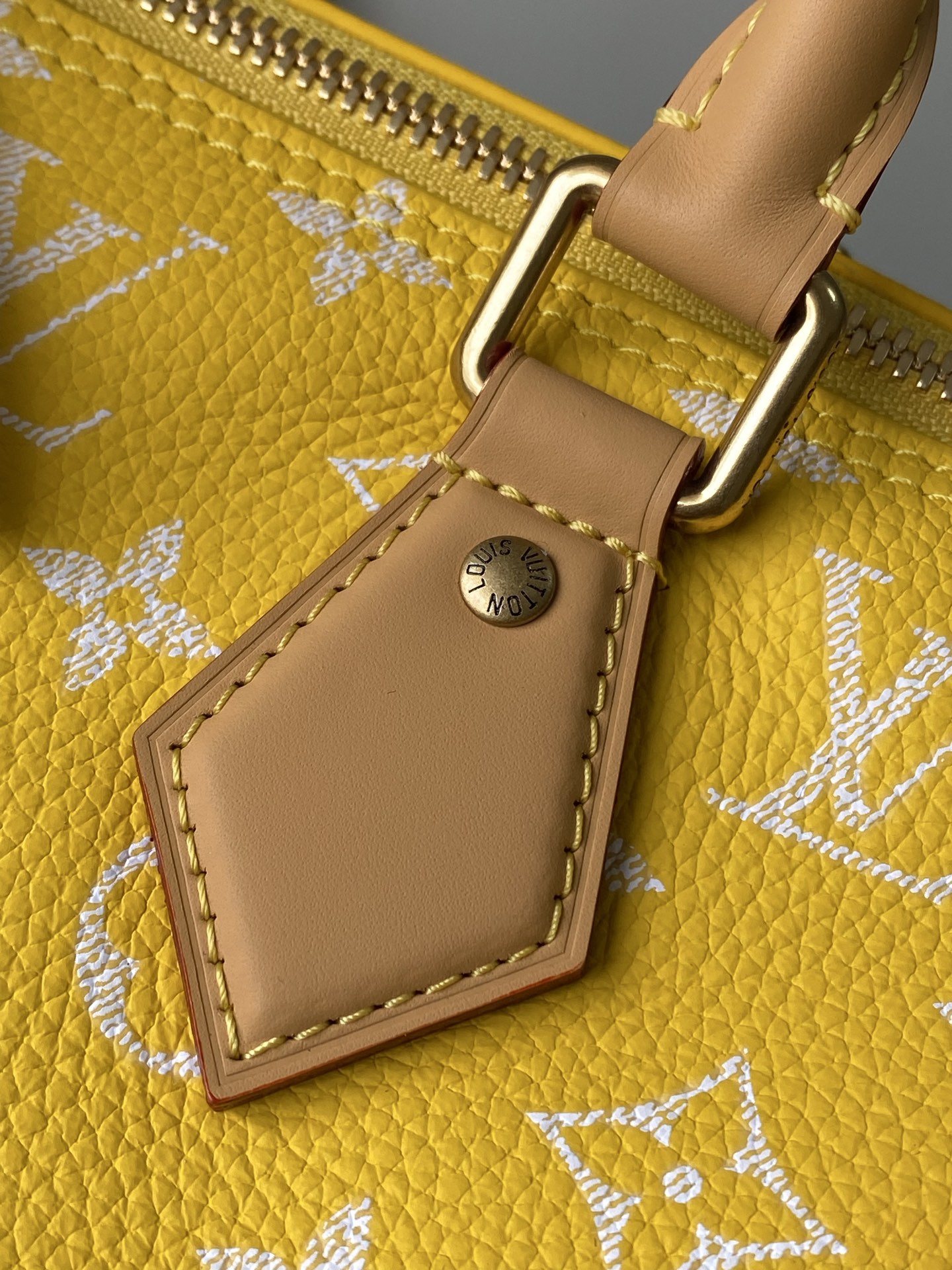 Louis Vuitton Basic Bag Cow Leather M-l-s