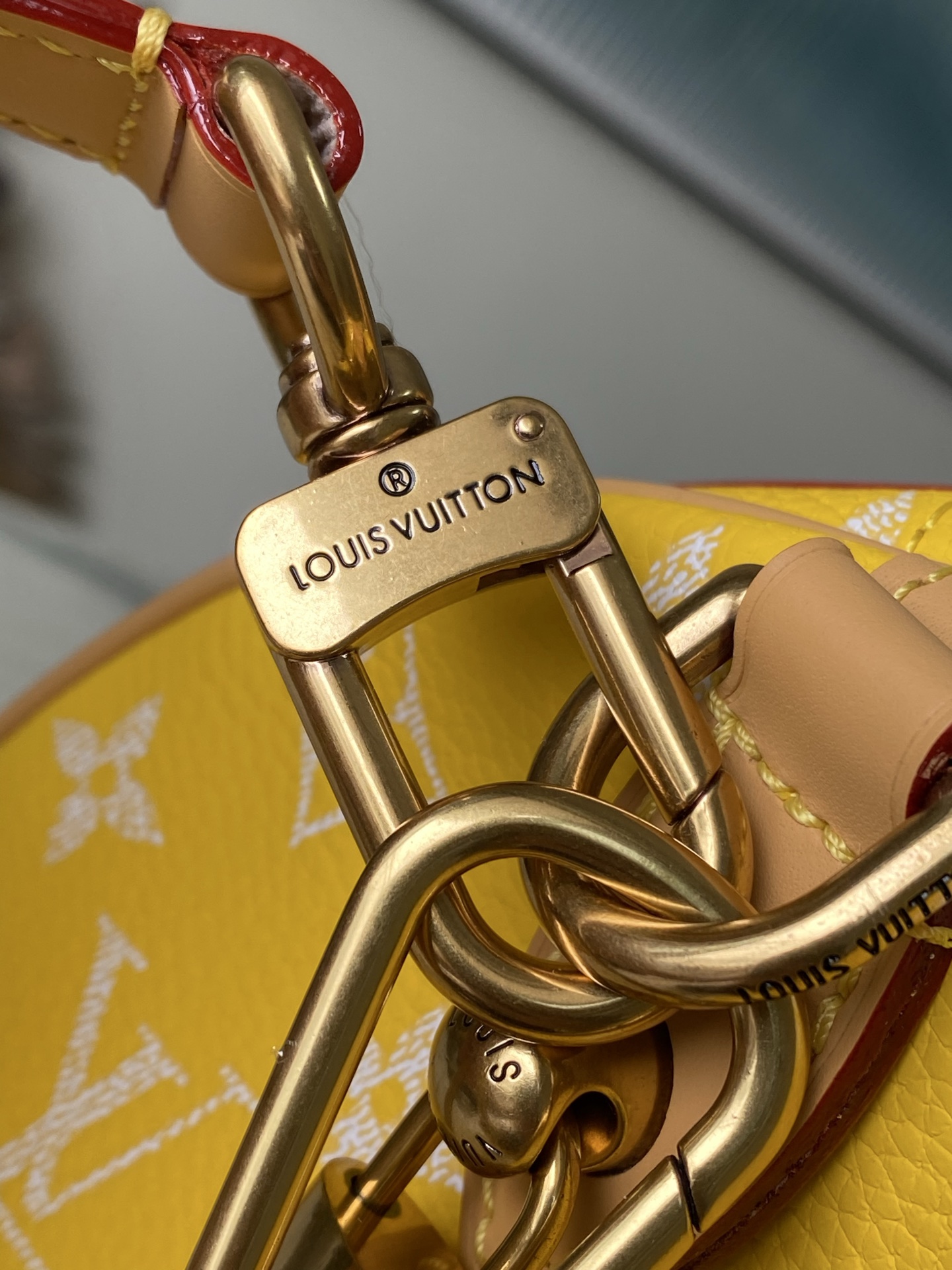 Louis Vuitton Basic Bag Cow Leather M-l-s