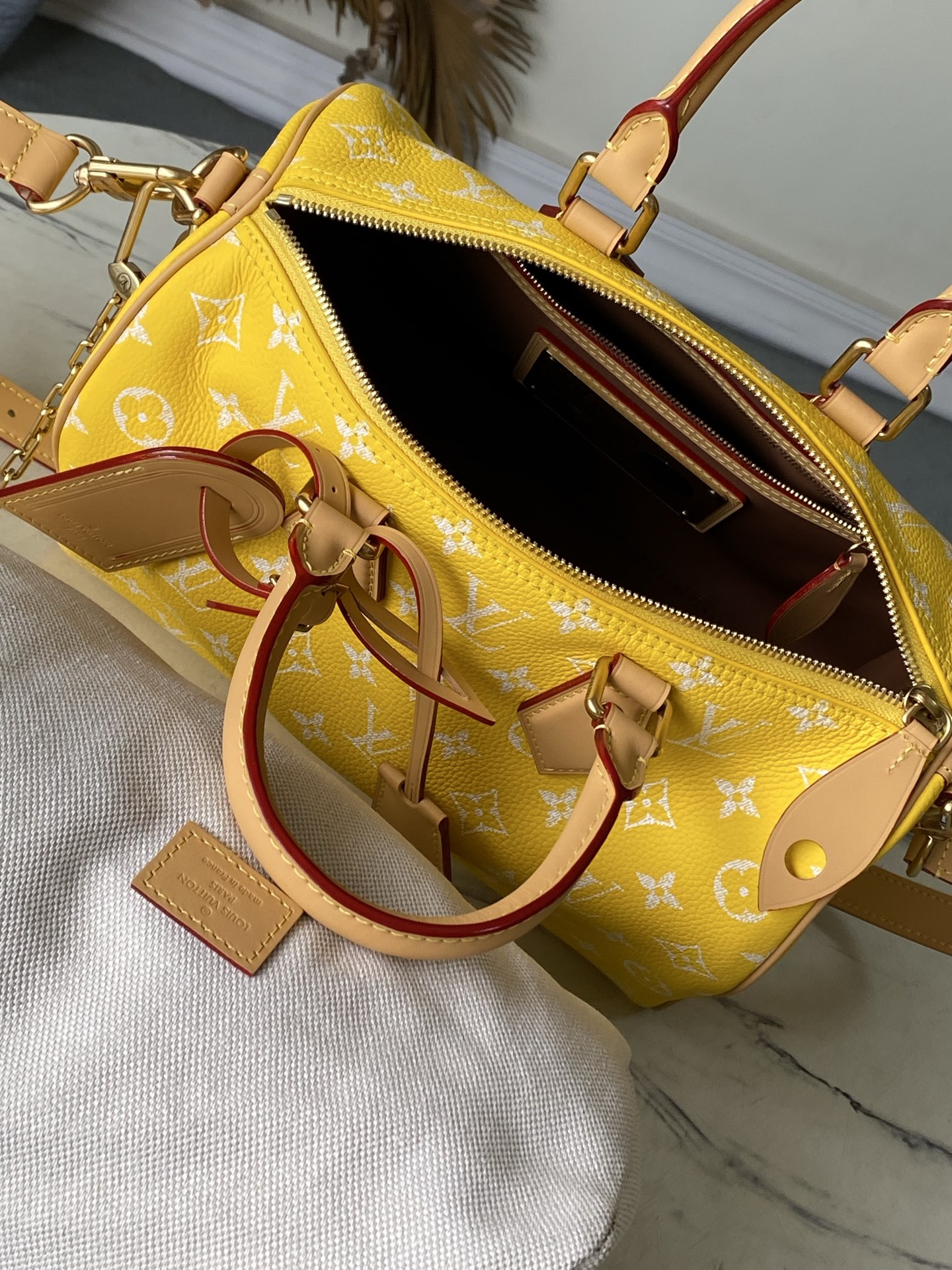 Louis Vuitton Basic Bag Cow Leather M-l-s