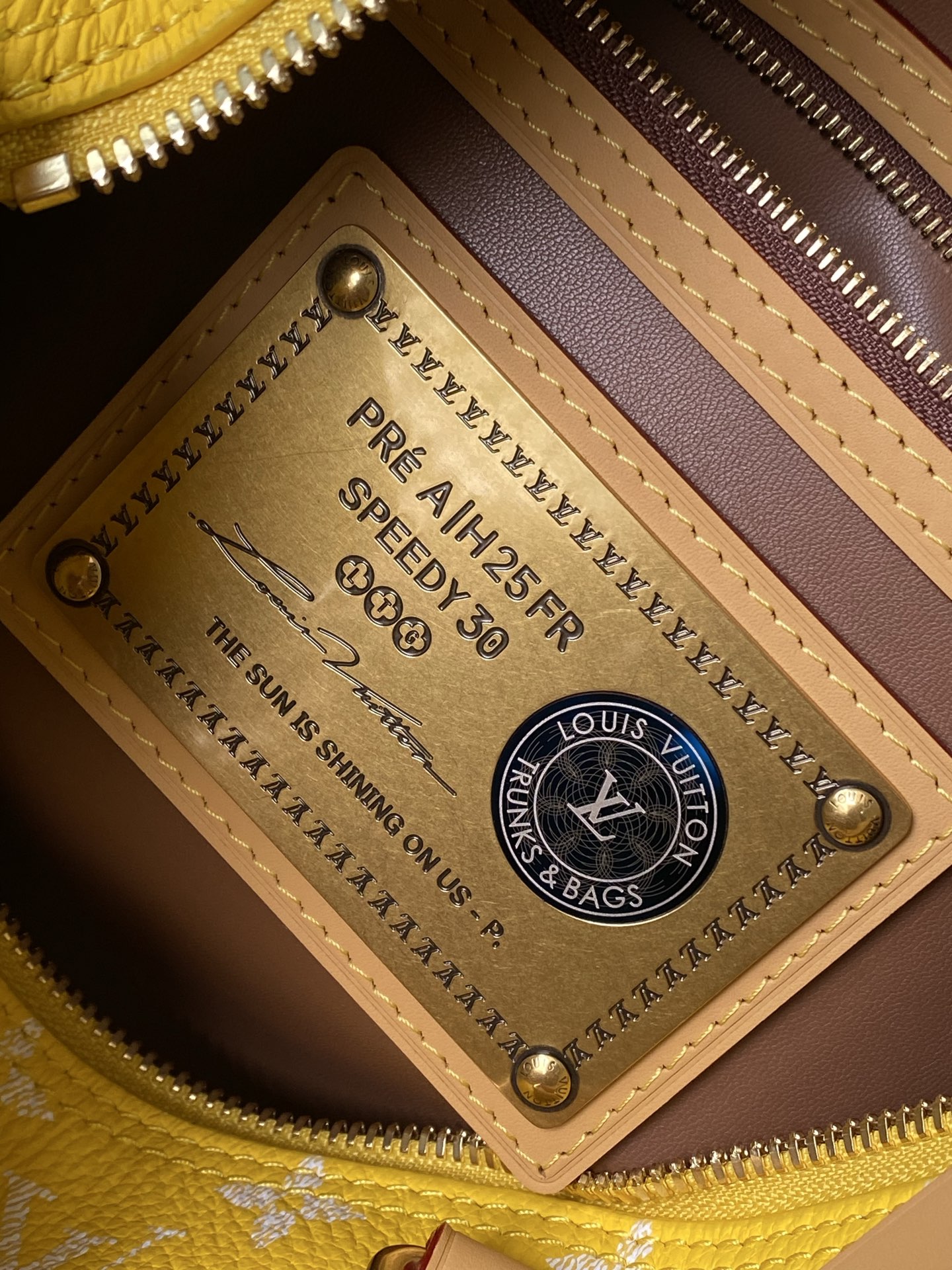 Louis Vuitton Basic Bag Cow Leather M-l-s