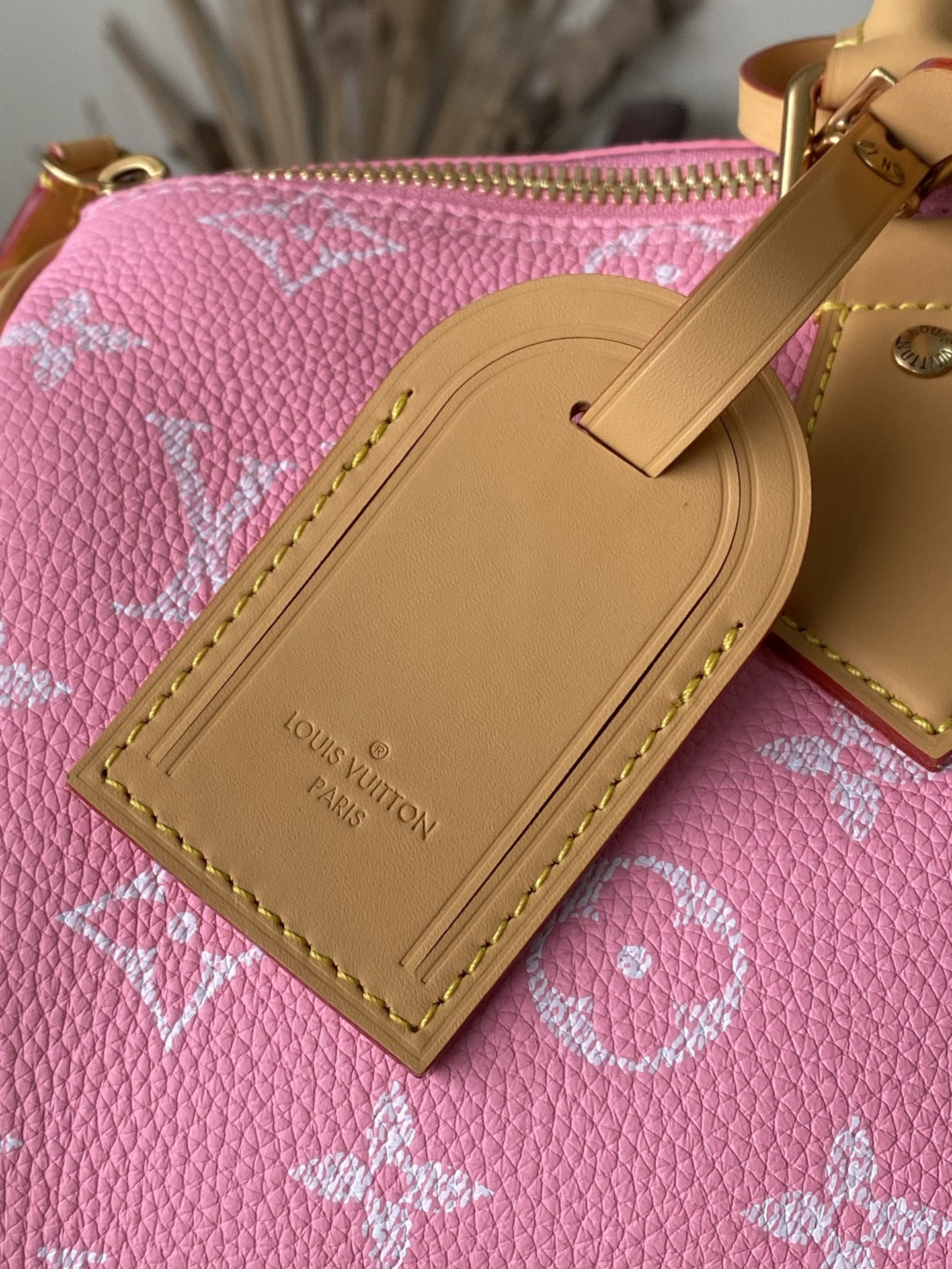 Louis Vuitton Basic Bag Cow Leather M-l-s