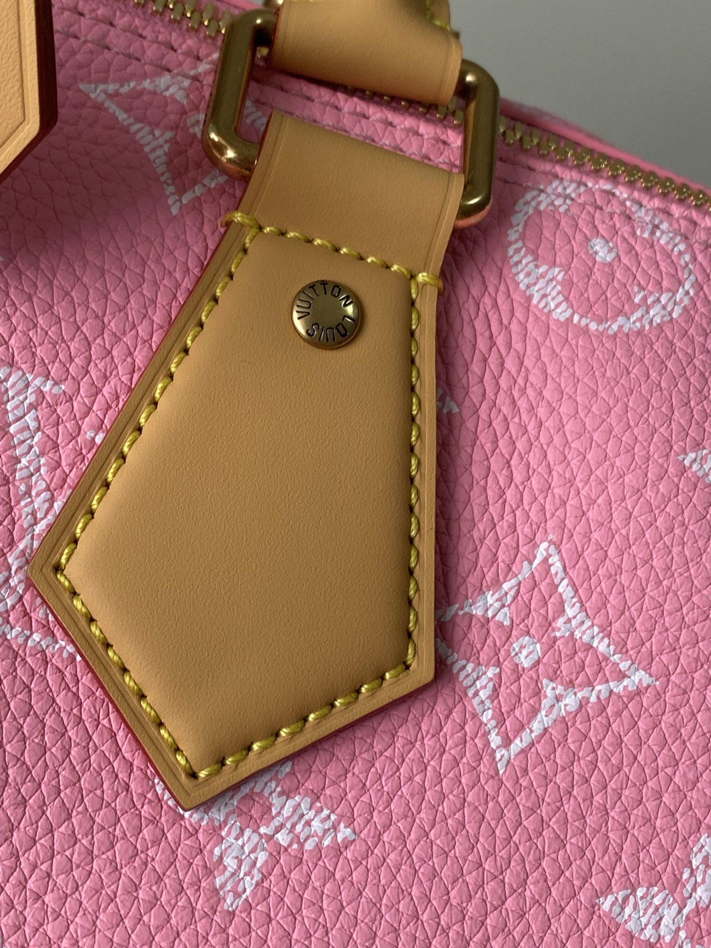 Louis Vuitton Basic Bag Cow Leather M-l-s