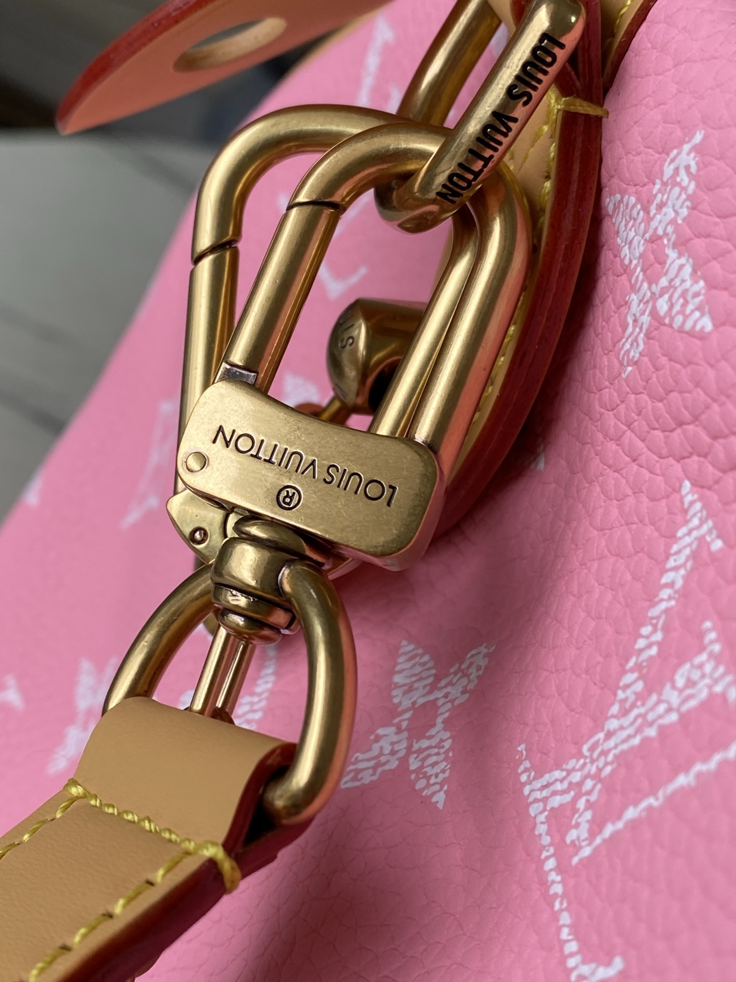 Louis Vuitton Basic Bag Cow Leather M-l-s