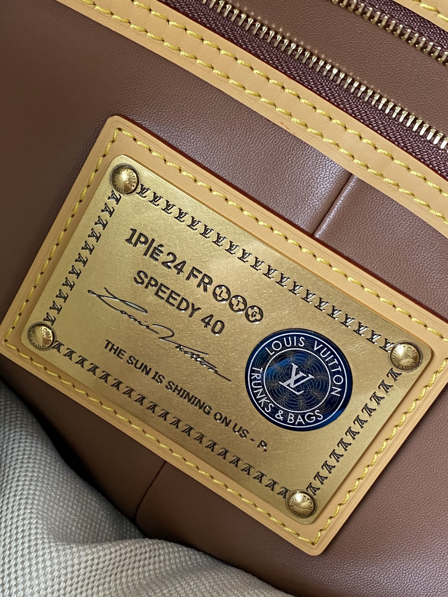 Louis Vuitton Basic Bag Cow Leather M-l-s