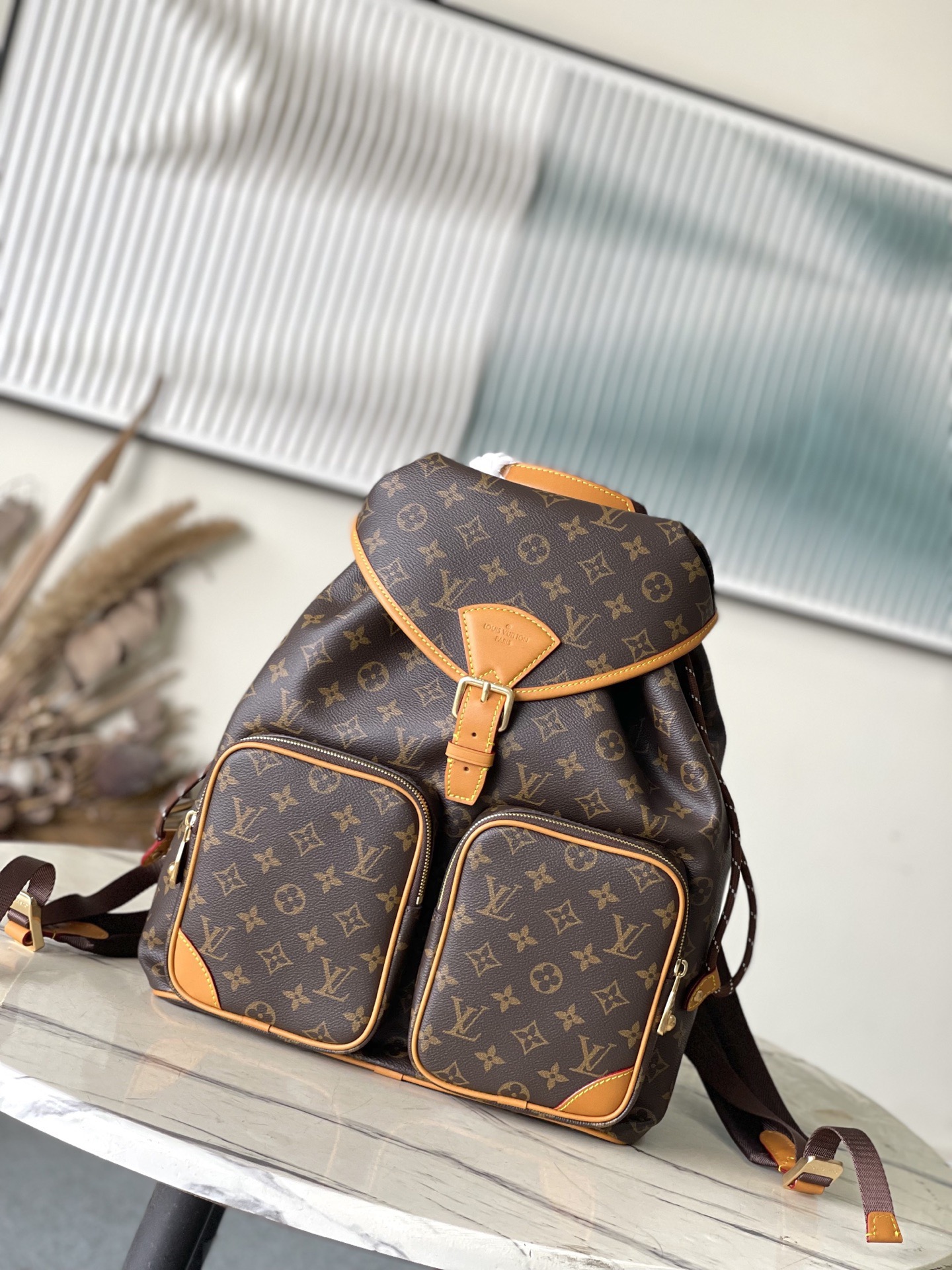 Louis Vuitton Backpack Canvas M-s