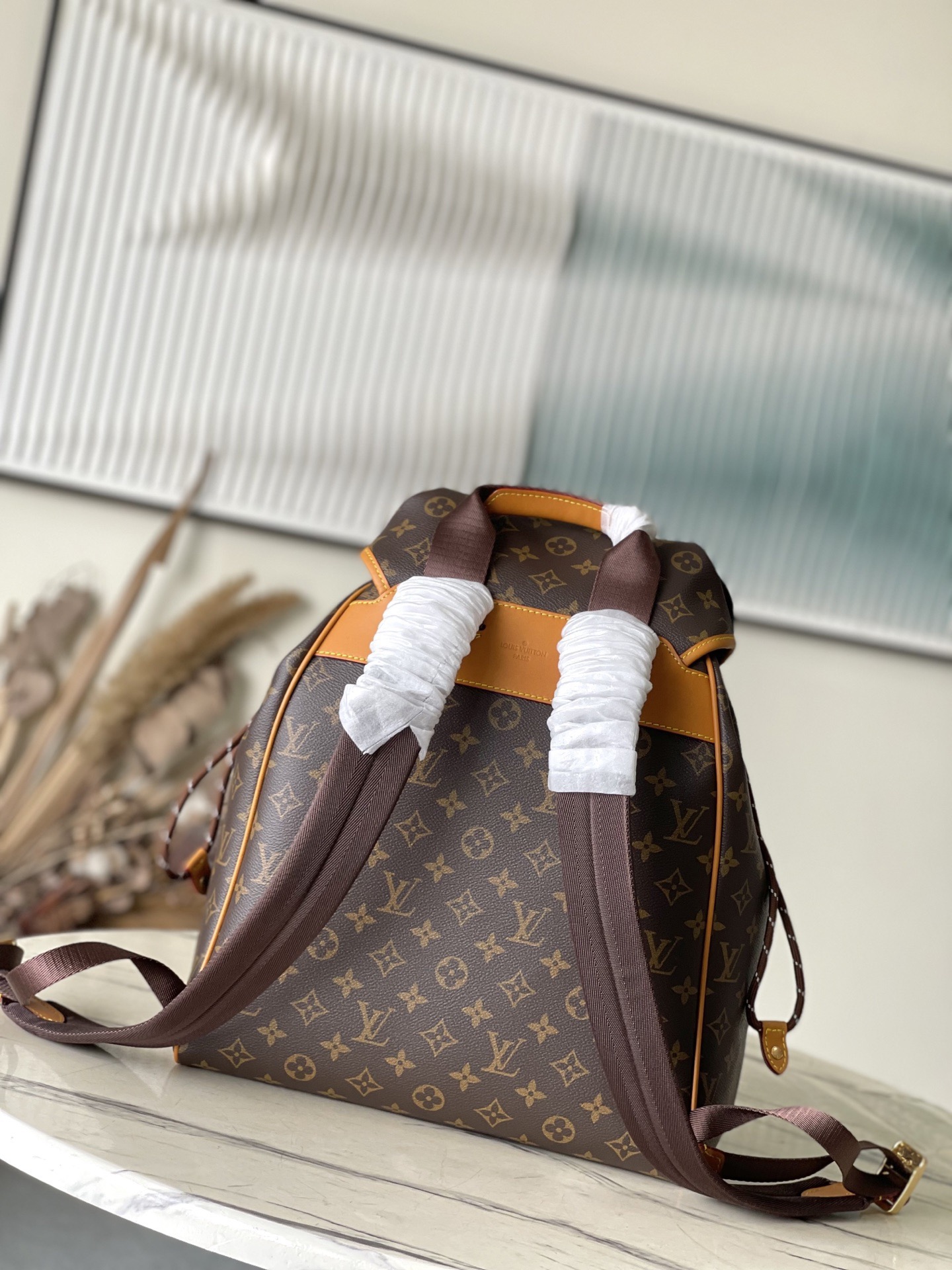 Louis Vuitton Backpack Canvas M-s