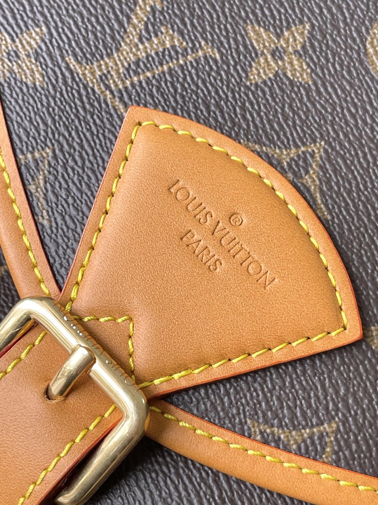 Louis Vuitton Backpack Canvas M-s