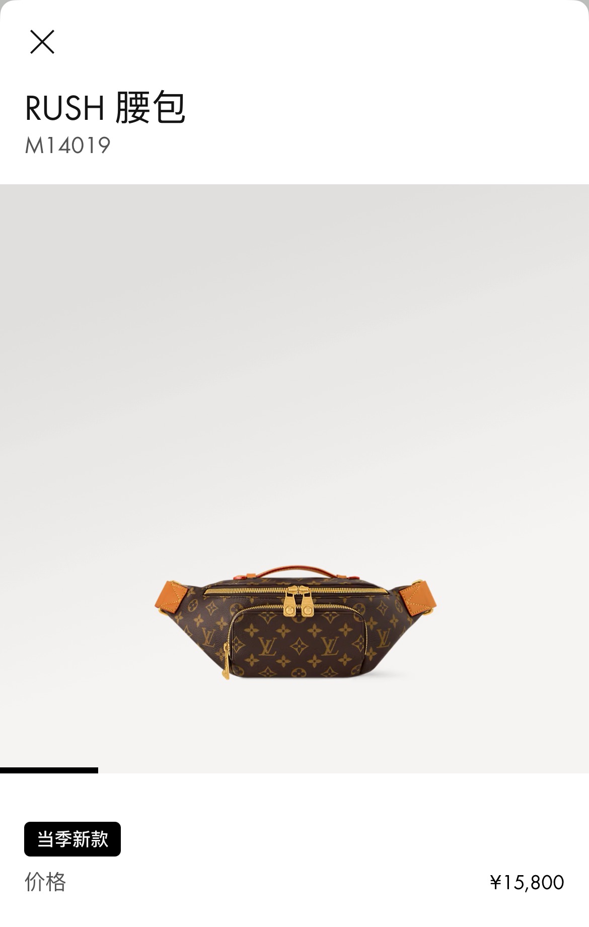 Louis Vuitton Basic Bag Canvas M-s