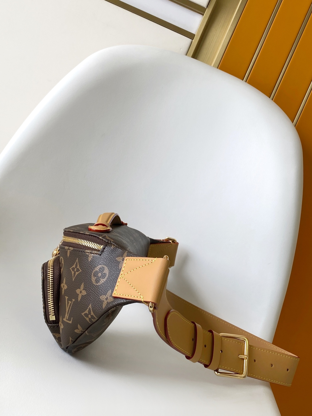 Louis Vuitton Basic Bag Canvas M-s