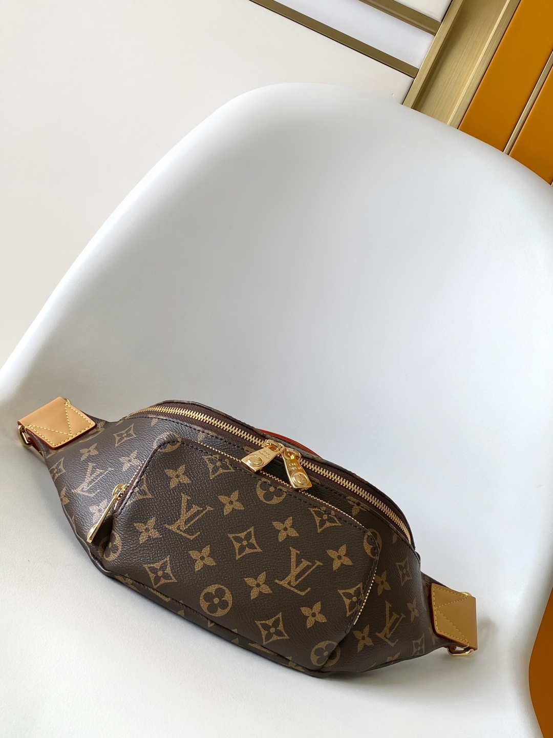 Louis Vuitton Basic Bag Canvas M-s