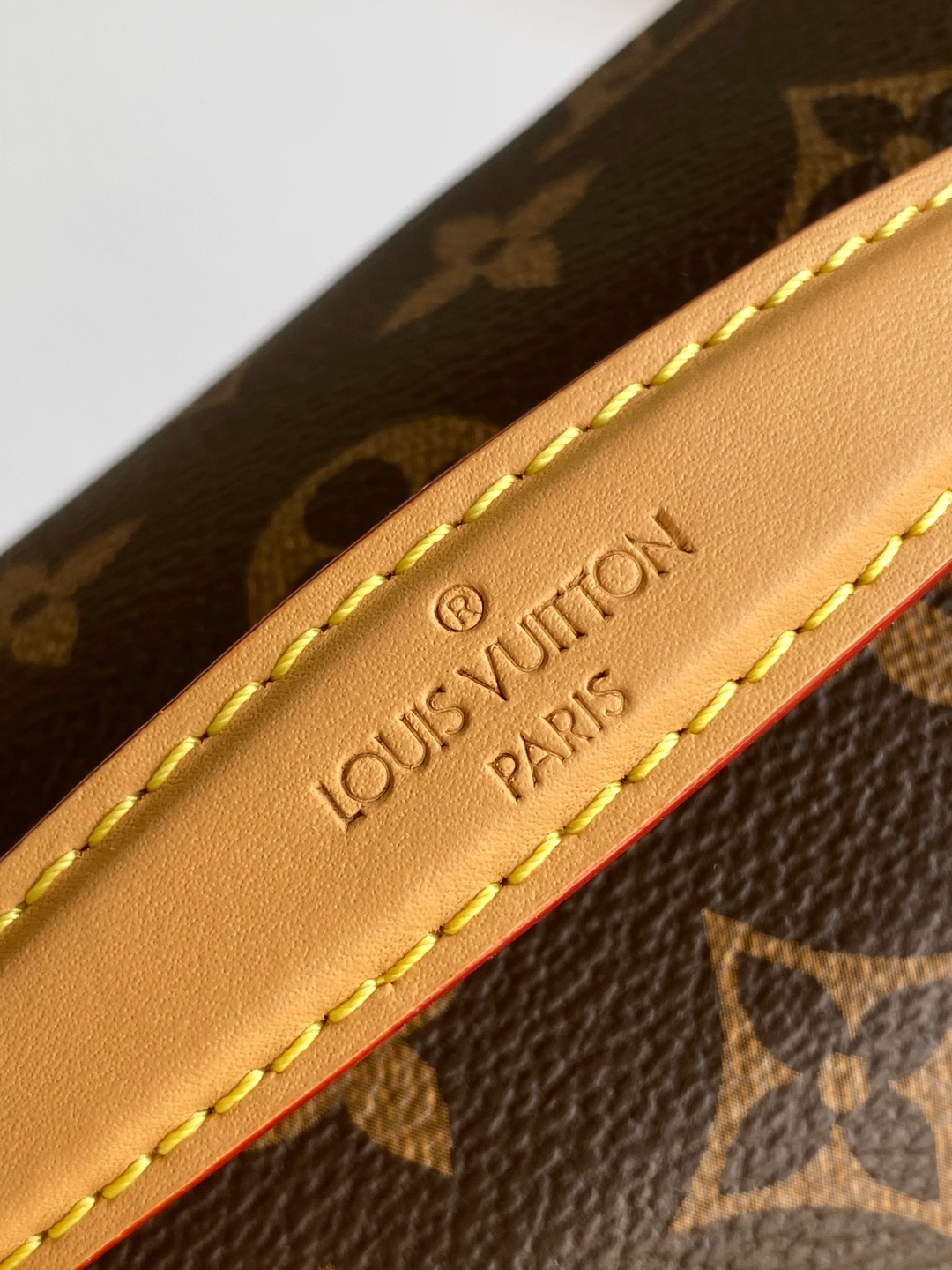 Louis Vuitton Basic Bag Canvas M-s