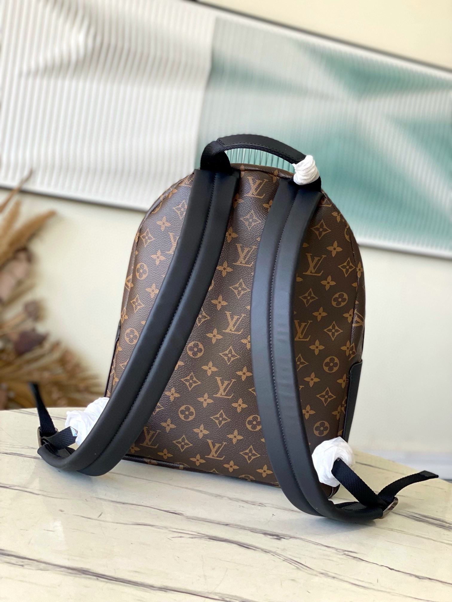 Louis Vuitton Backpack Canvas M-l-s