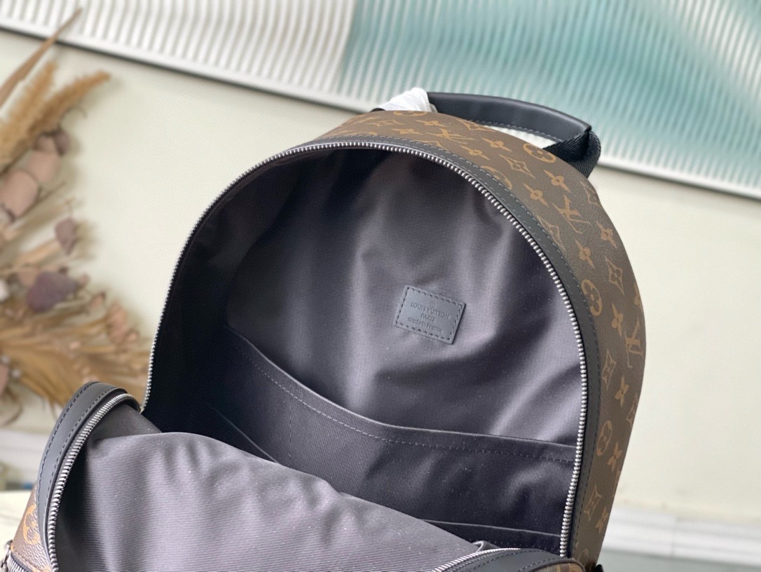 Louis Vuitton Backpack Canvas M-l-s