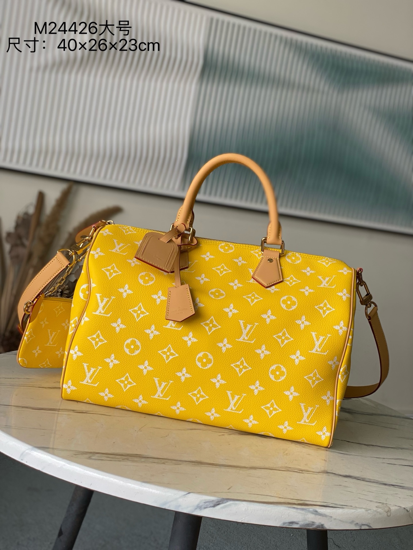 Louis Vuitton Basic Bag Cow Leather M-l-s