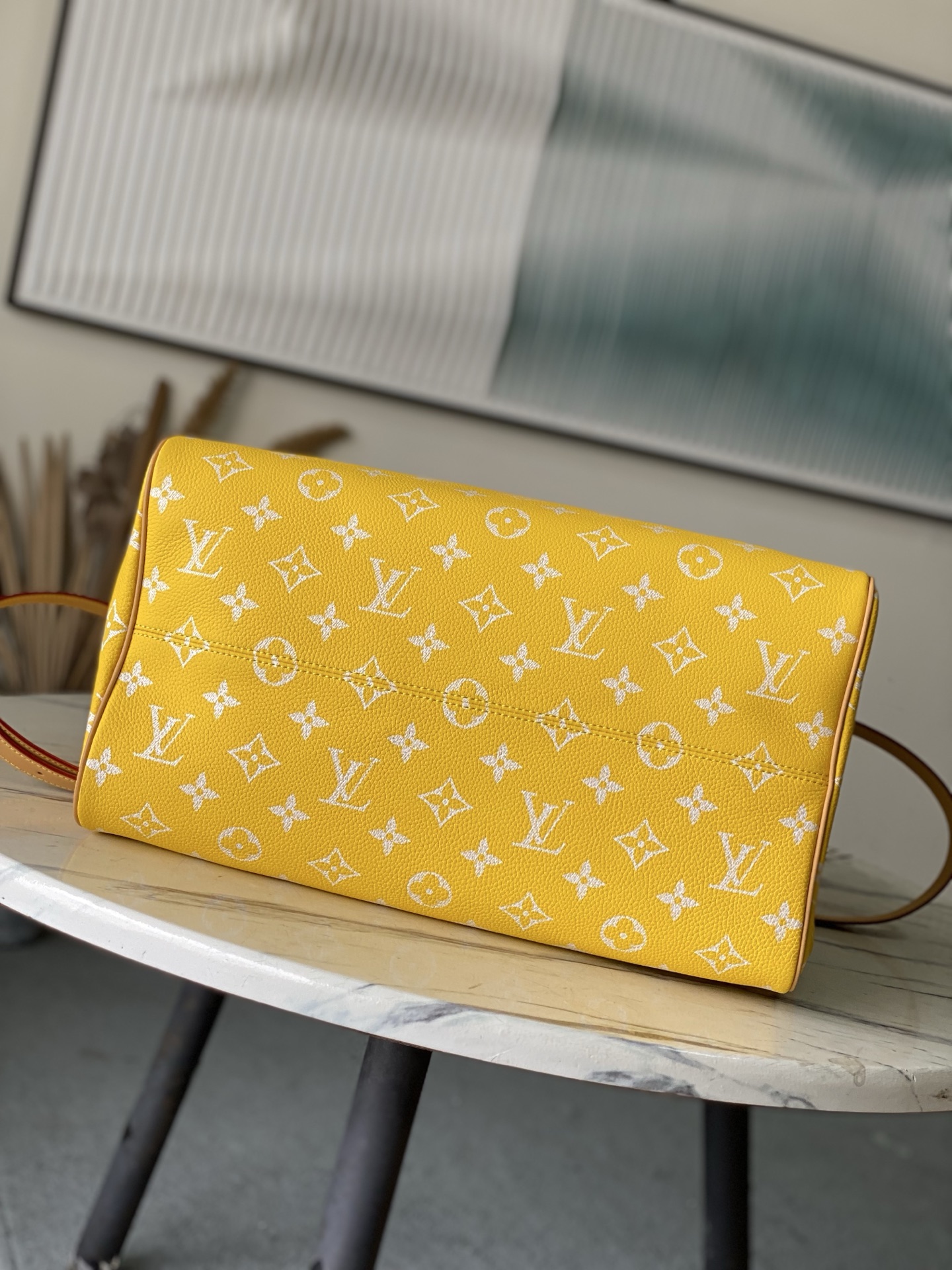 Louis Vuitton Basic Bag Cow Leather M-l-s