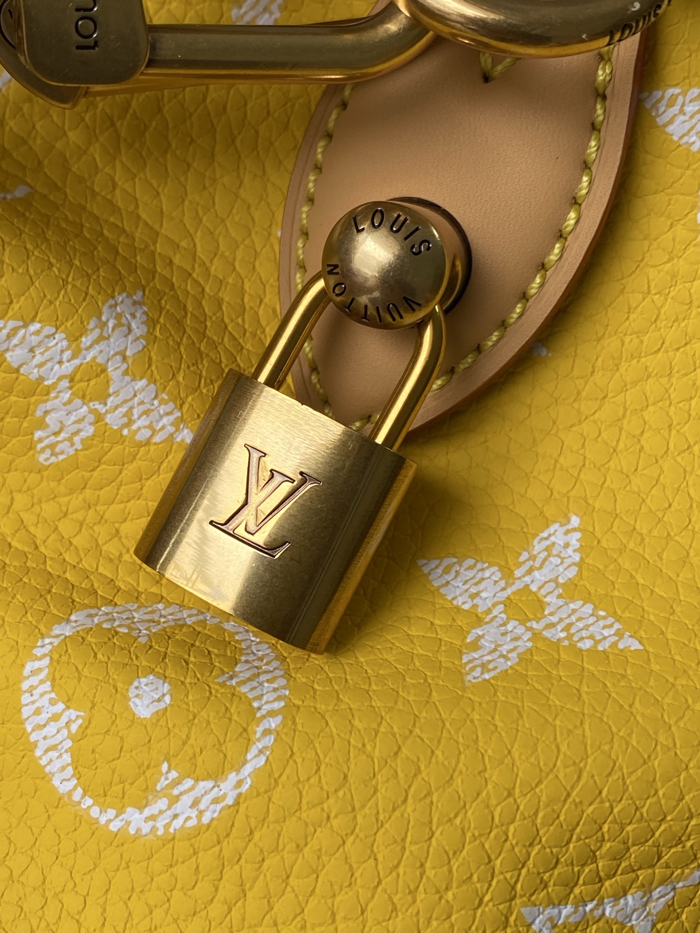 Louis Vuitton Basic Bag Cow Leather M-l-s