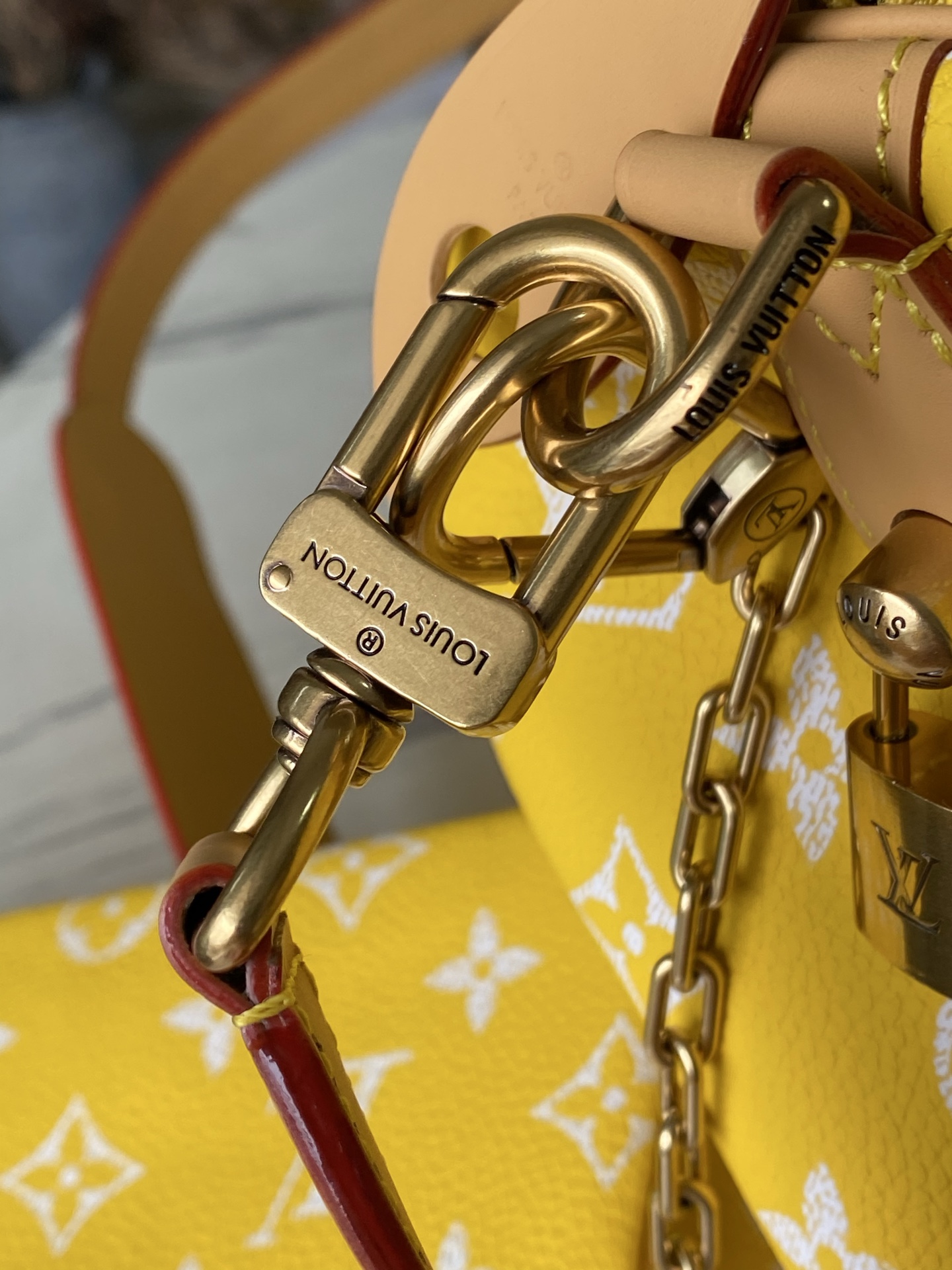 Louis Vuitton Basic Bag Cow Leather M-l-s