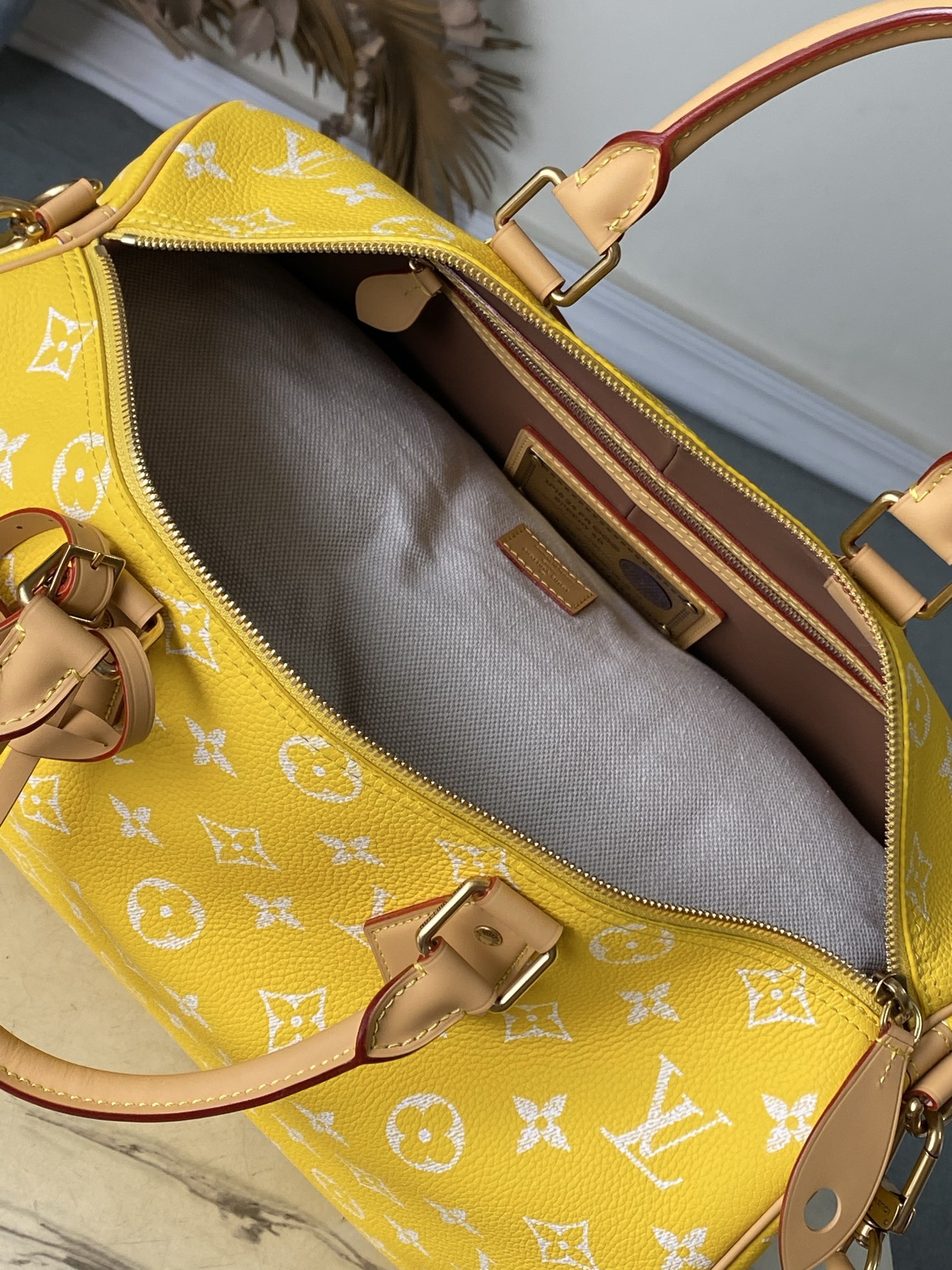 Louis Vuitton Basic Bag Cow Leather M-l-s