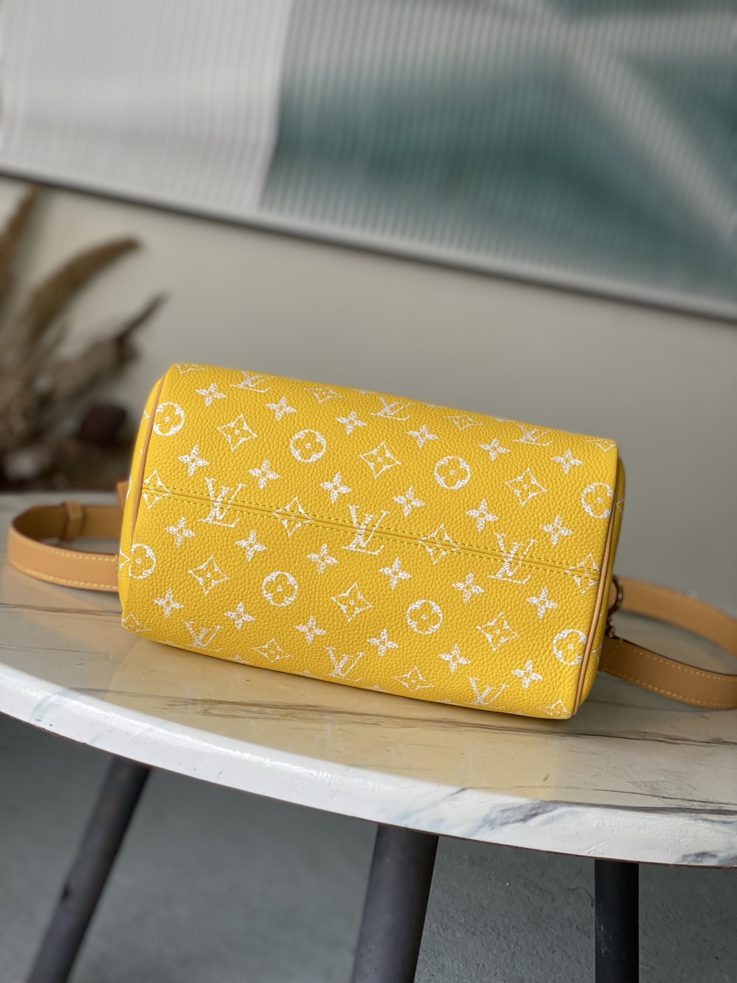 Louis Vuitton Basic Bag Cow Leather M-l-s