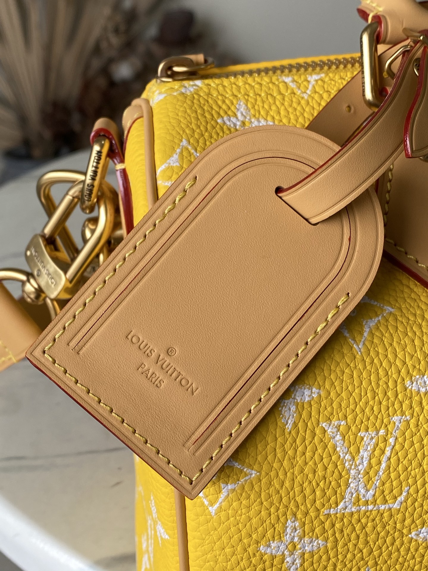 Louis Vuitton Basic Bag Cow Leather M-l-s