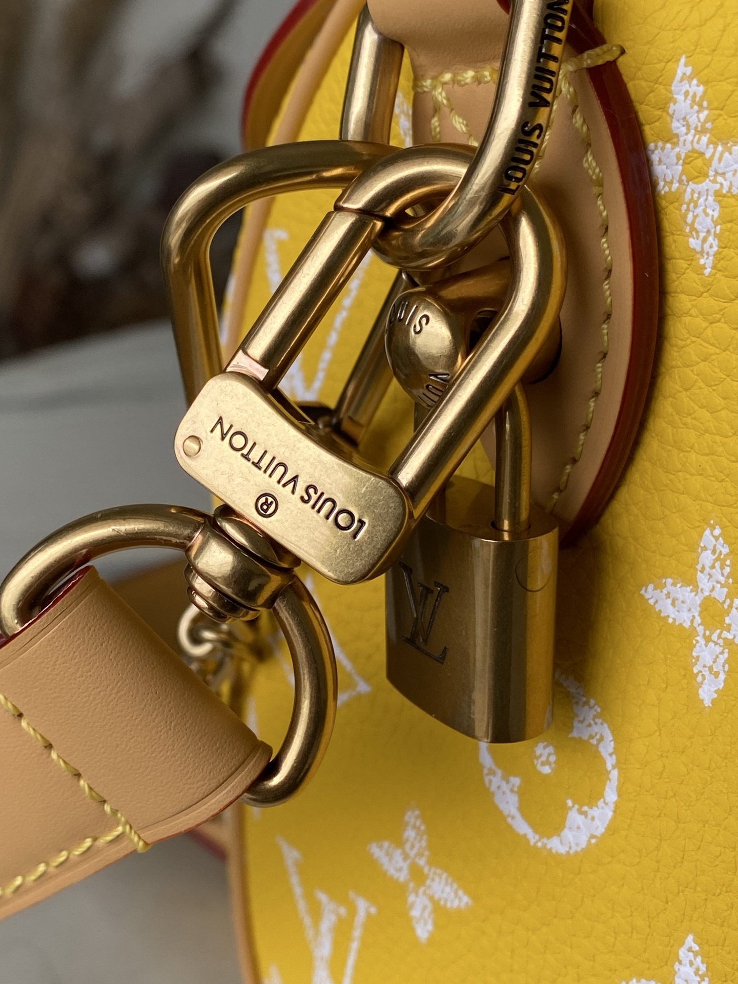 Louis Vuitton Basic Bag Cow Leather M-l-s