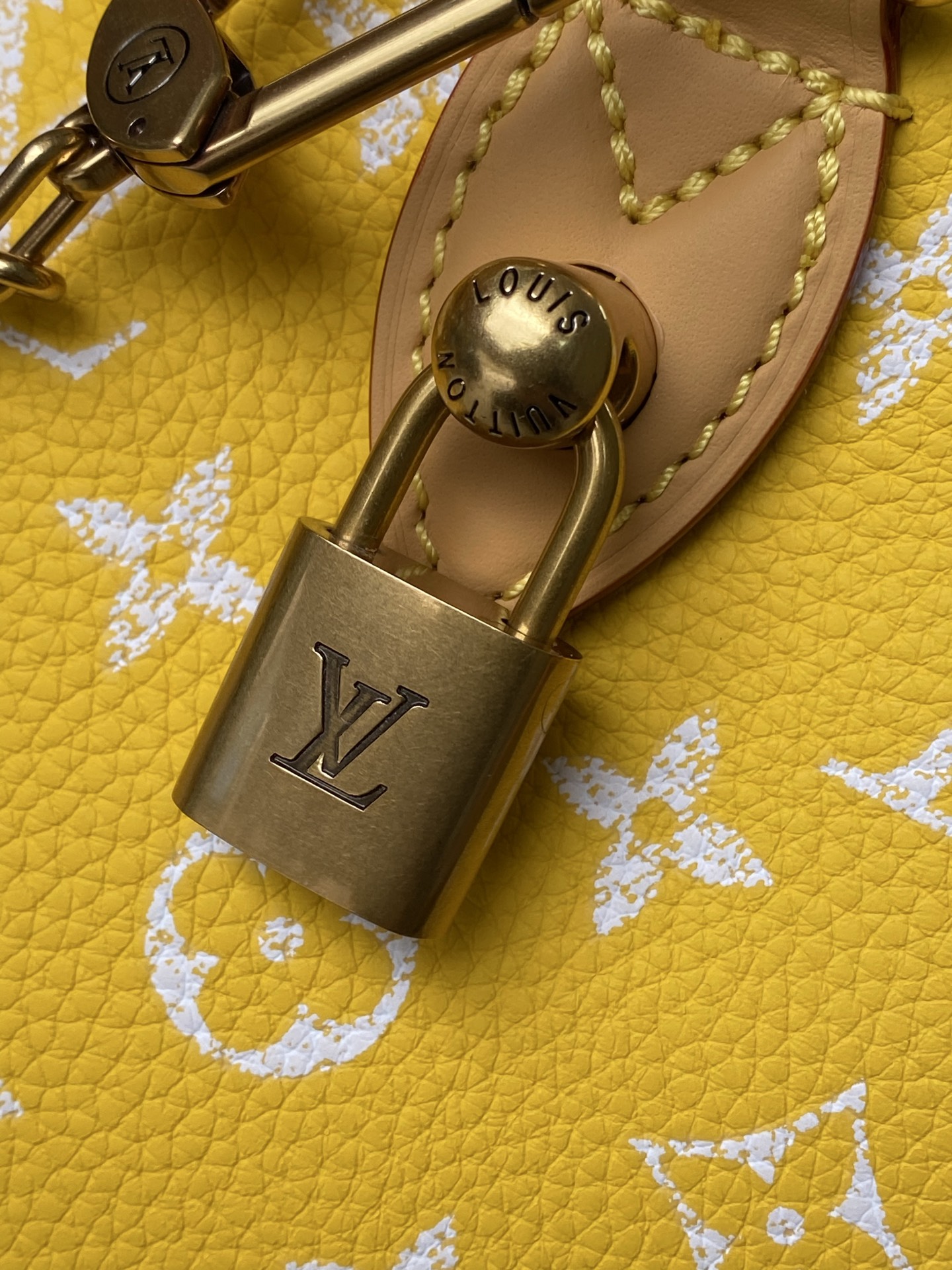Louis Vuitton Basic Bag Cow Leather M-l-s