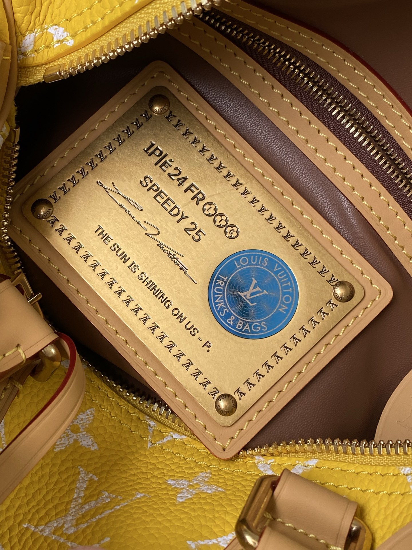 Louis Vuitton Basic Bag Cow Leather M-l-s