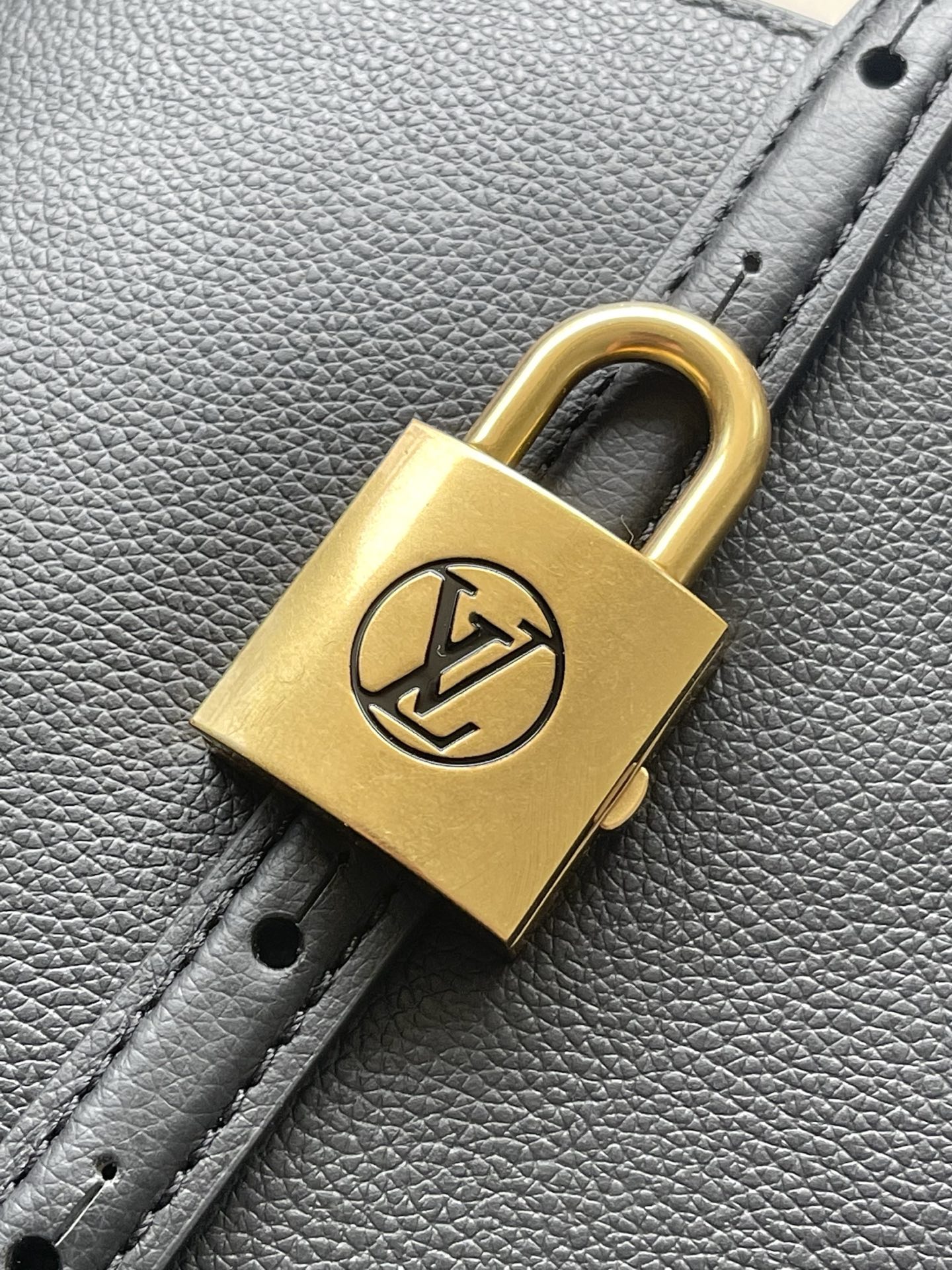 Louis Vuitton Basic Bag Cow Leather Black M-l