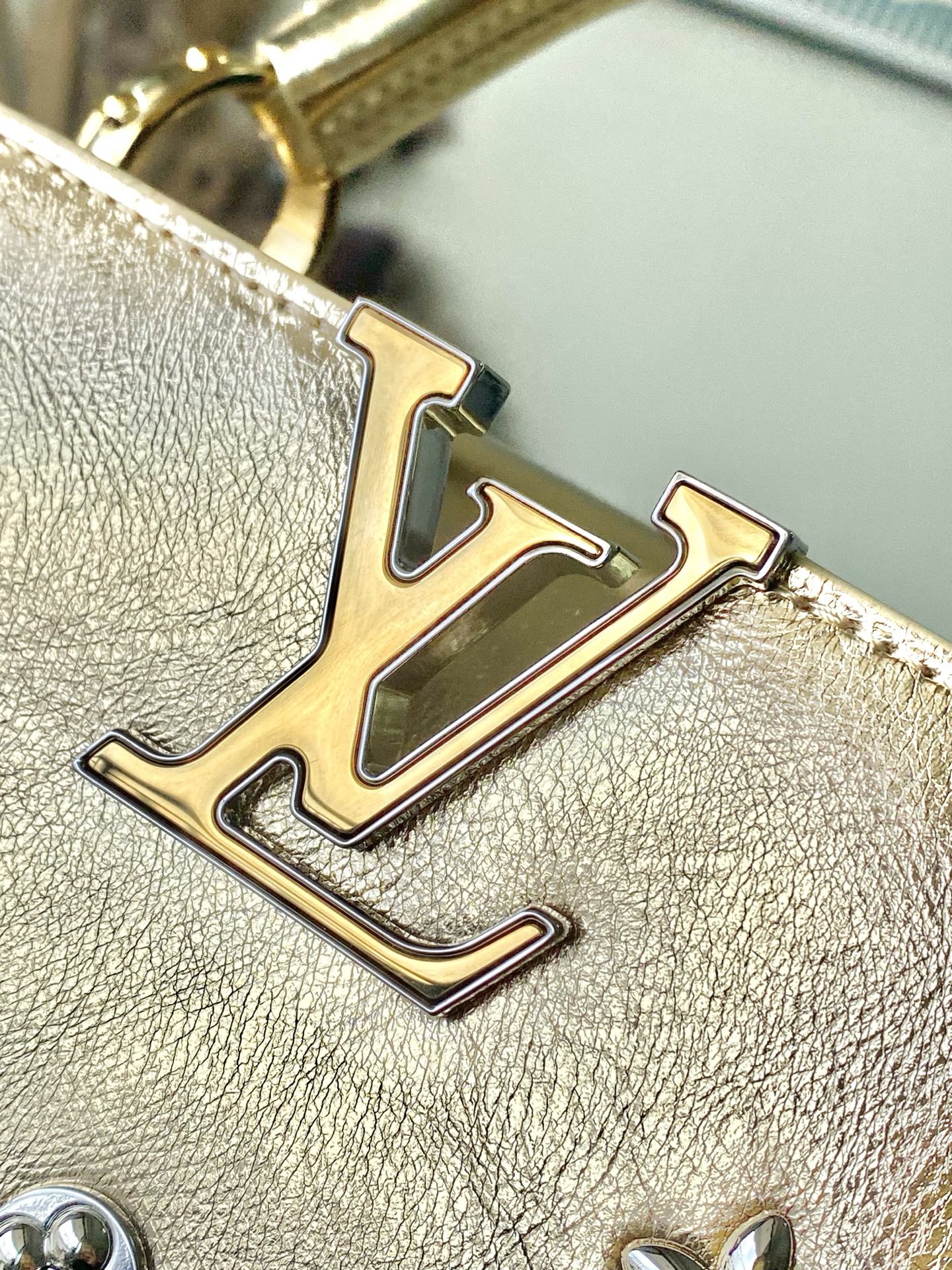 Louis Vuitton Basic Bag Gold M-l-s