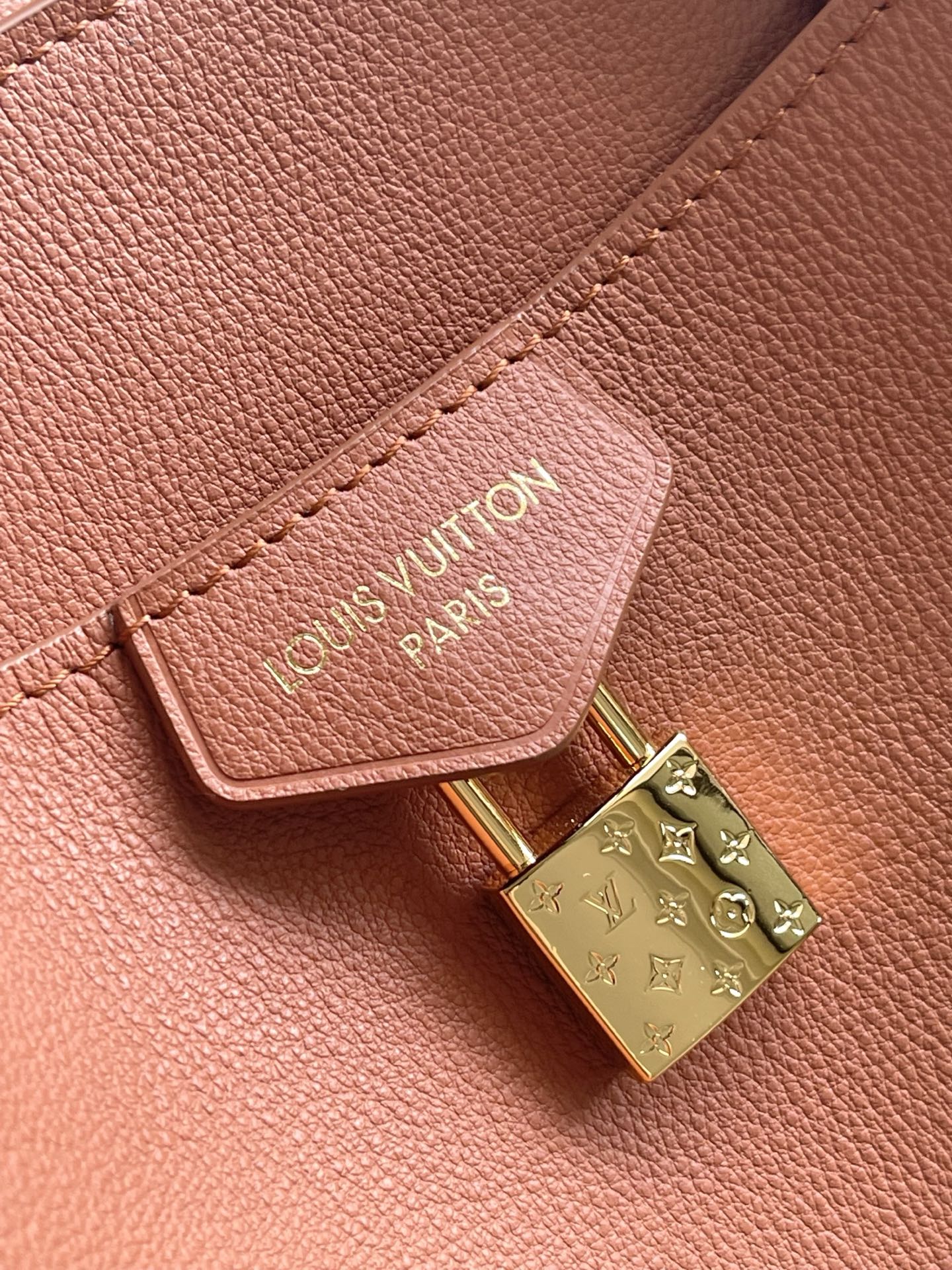 Louis Vuitton Basic Bag Cow Leather Black M