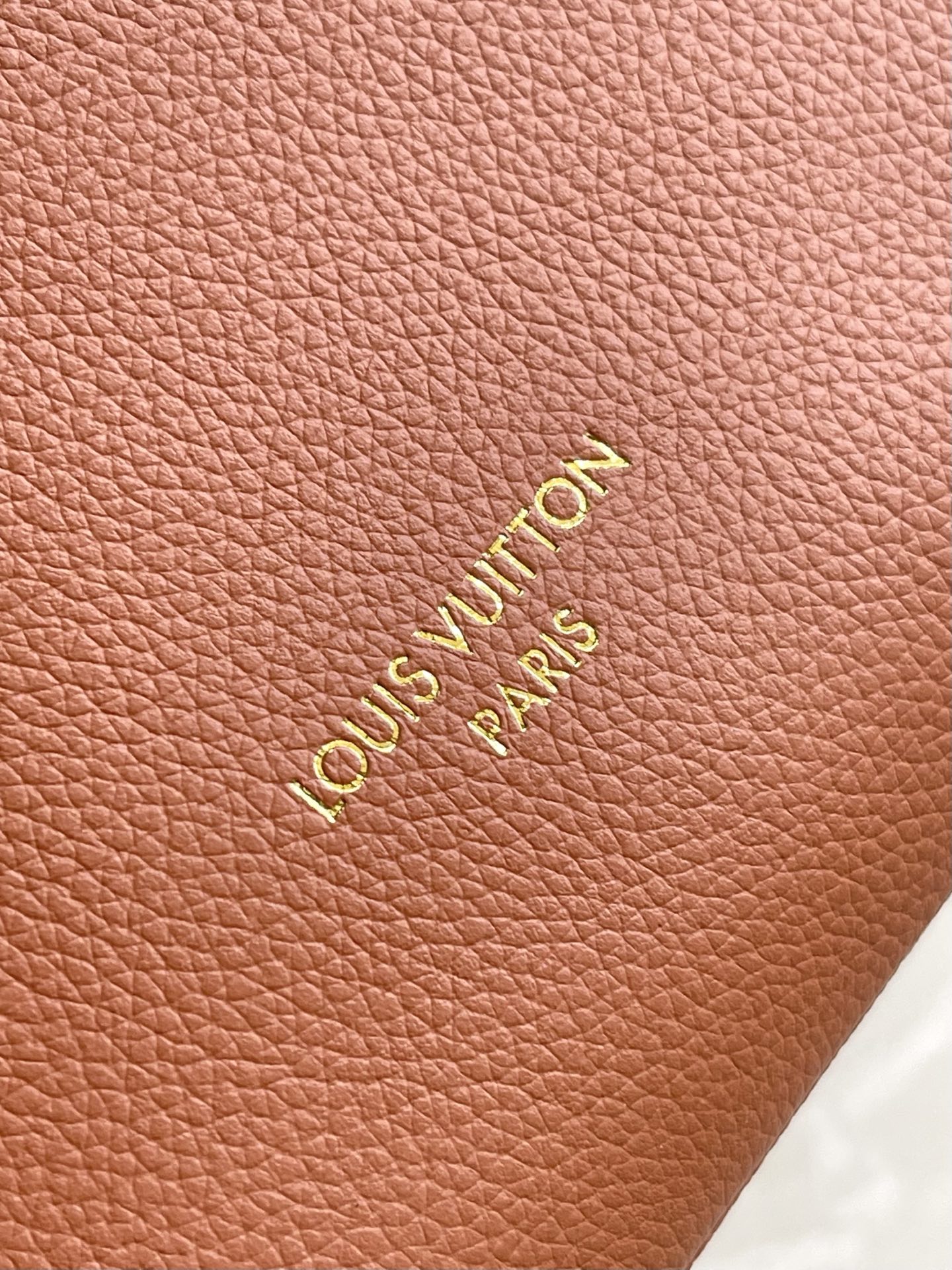 Louis Vuitton Basic Bag Cow Leather Black M-l