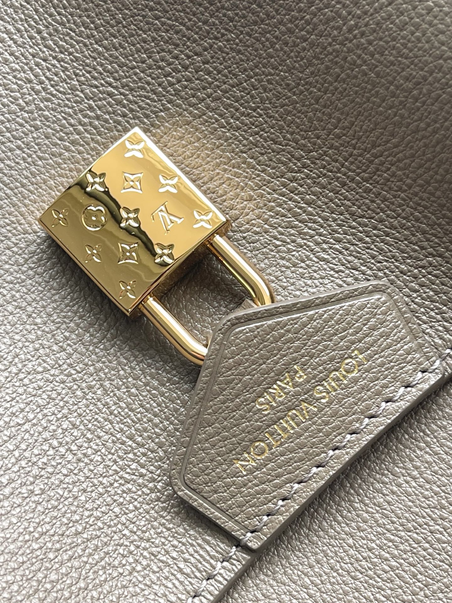 Louis Vuitton Basic Bag Cow Leather Gray M