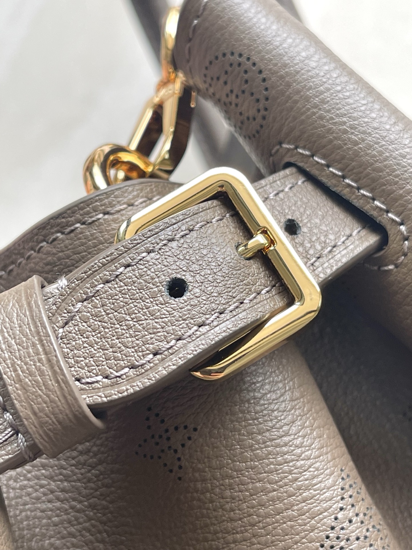 Louis Vuitton Basic Bag Cow Leather Gray M