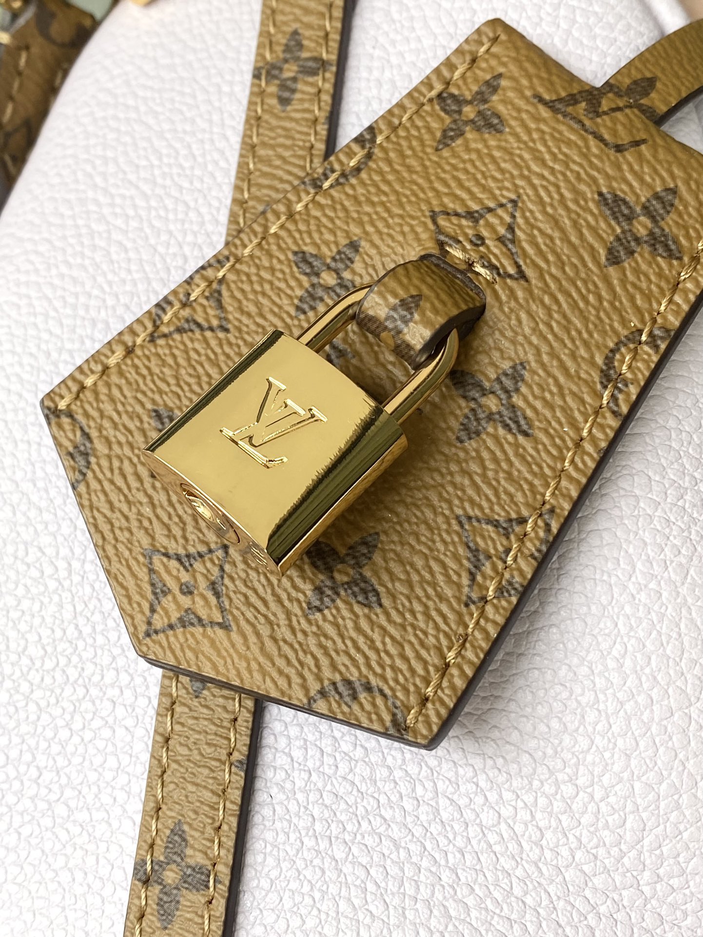 Louis Vuitton Basic Bag Cow Leather M-s