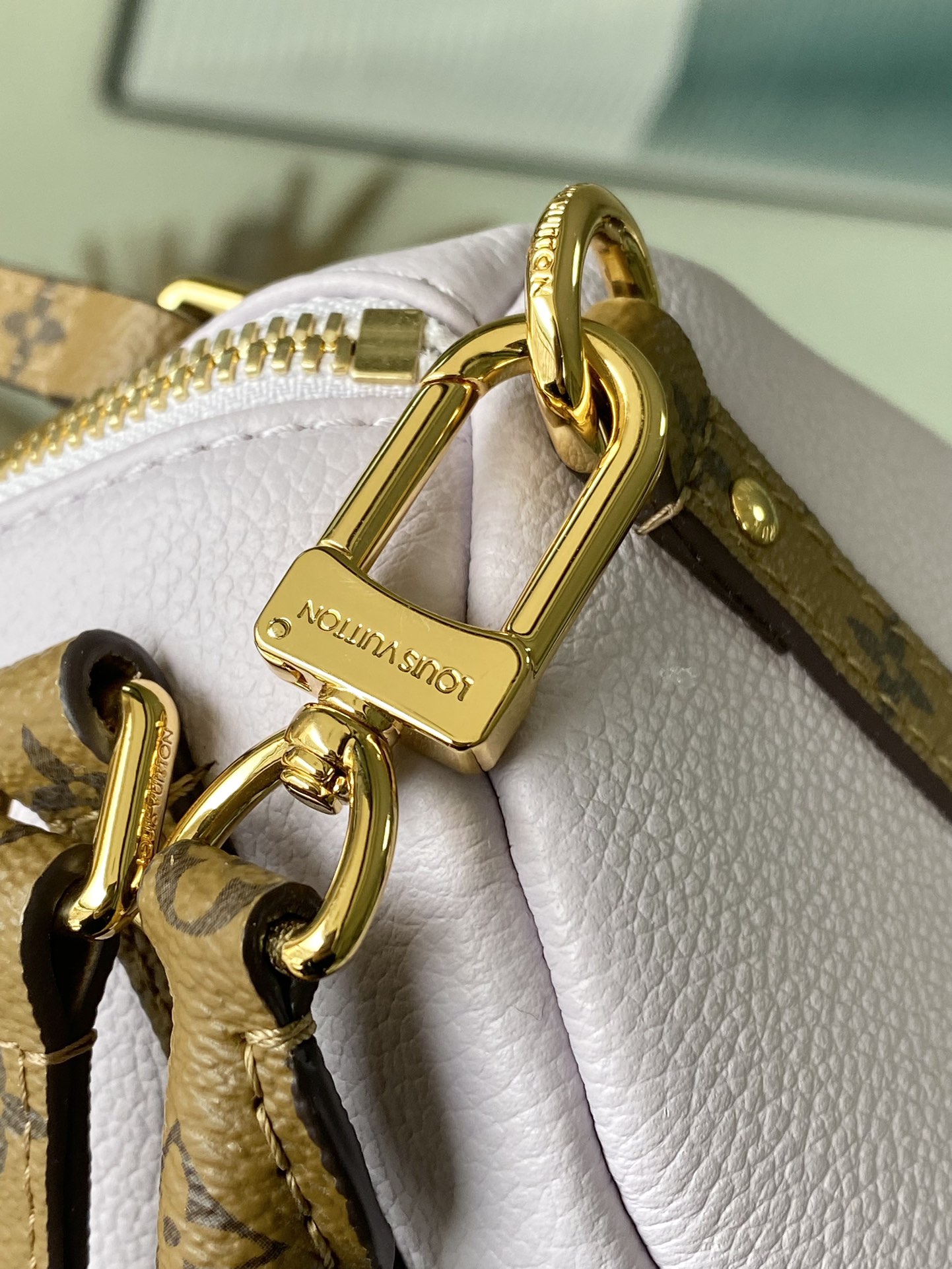 Louis Vuitton Basic Bag Cow Leather M-s