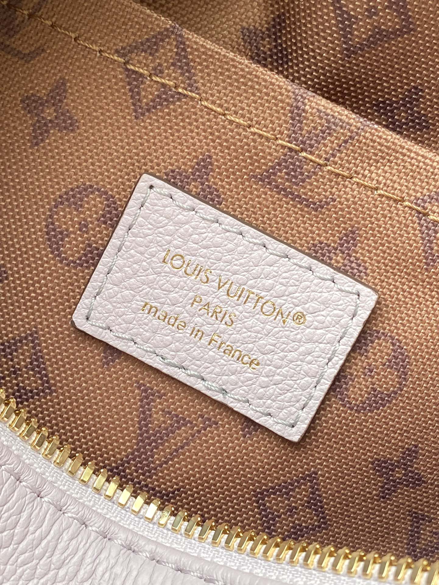 Louis Vuitton Basic Bag Cow Leather M-s