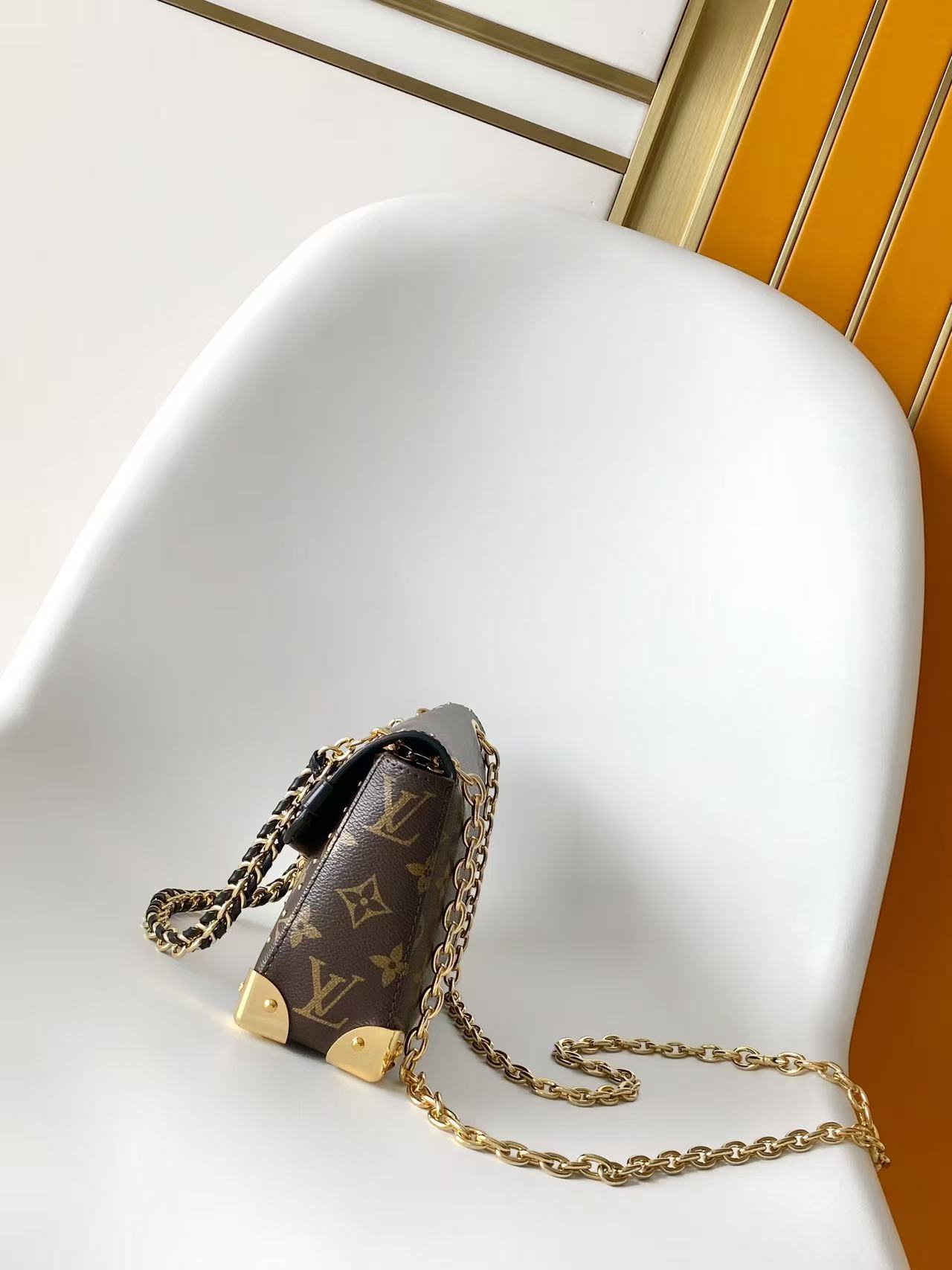 Louis Vuitton Basic Bag Canvas M-l-s