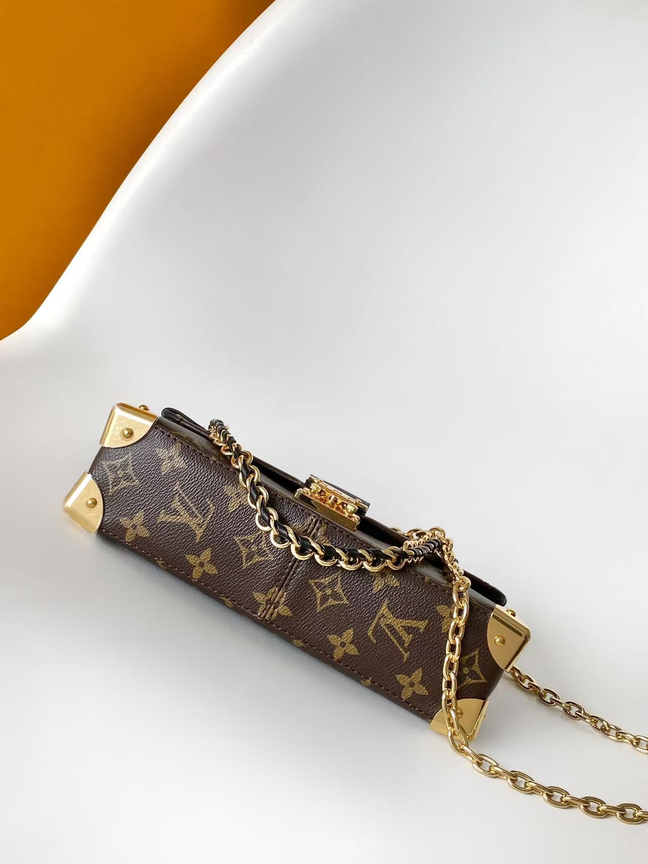 Louis Vuitton Basic Bag Canvas M-l-s
