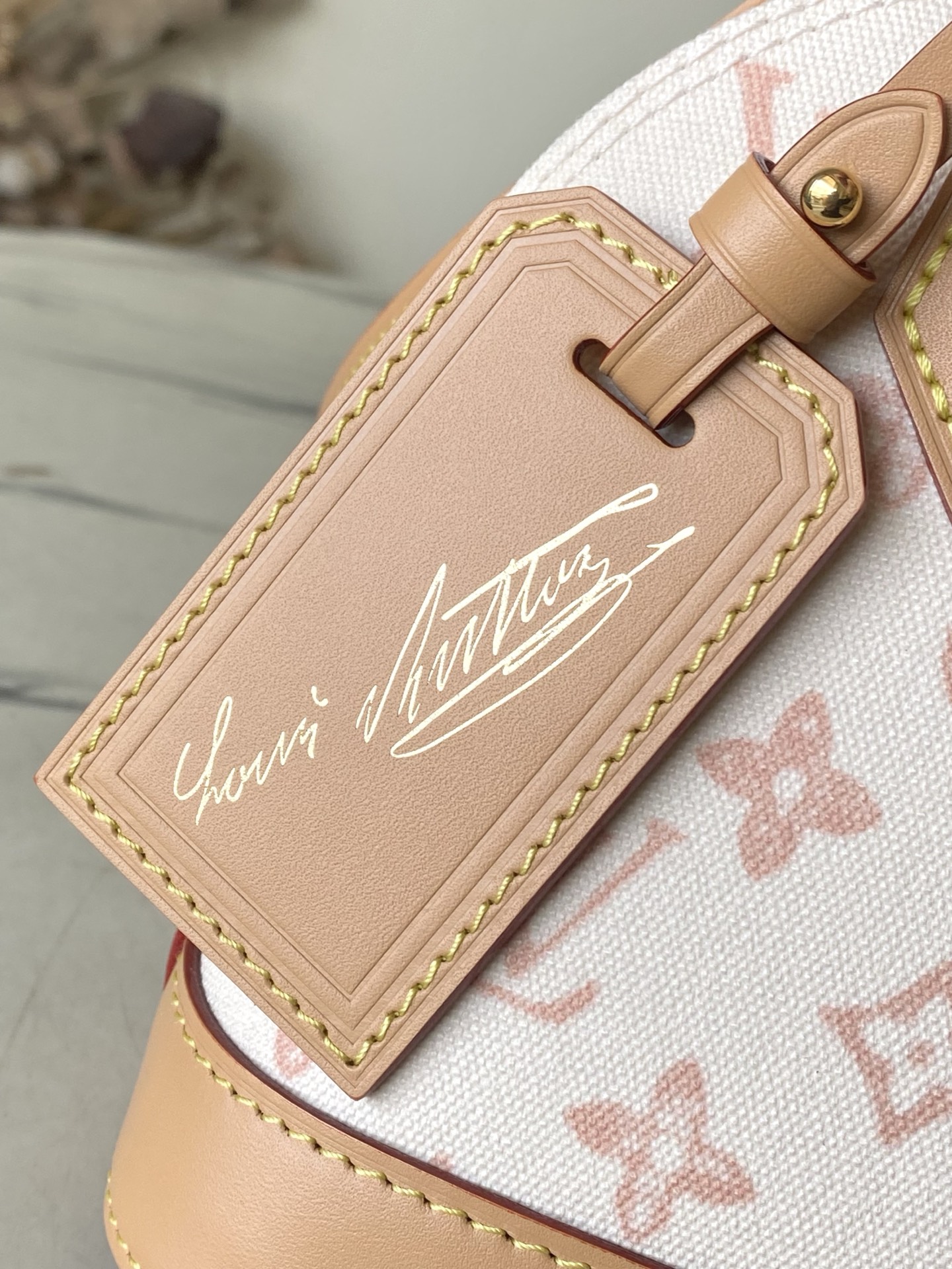 Louis Vuitton Basic Bag Canvas M-l